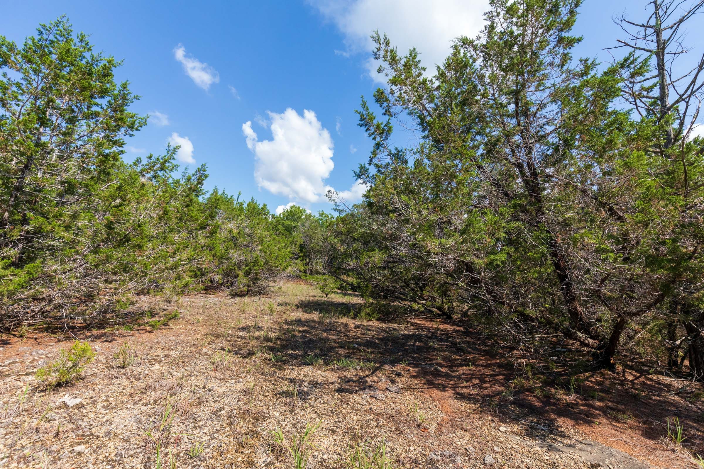 Heritage Bend Tract 29 photo 6