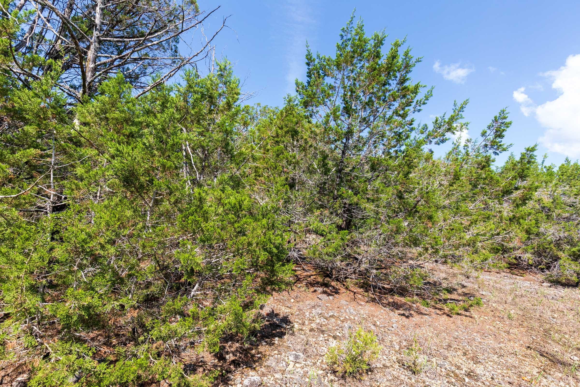 Heritage Bend Tract 29 photo 7