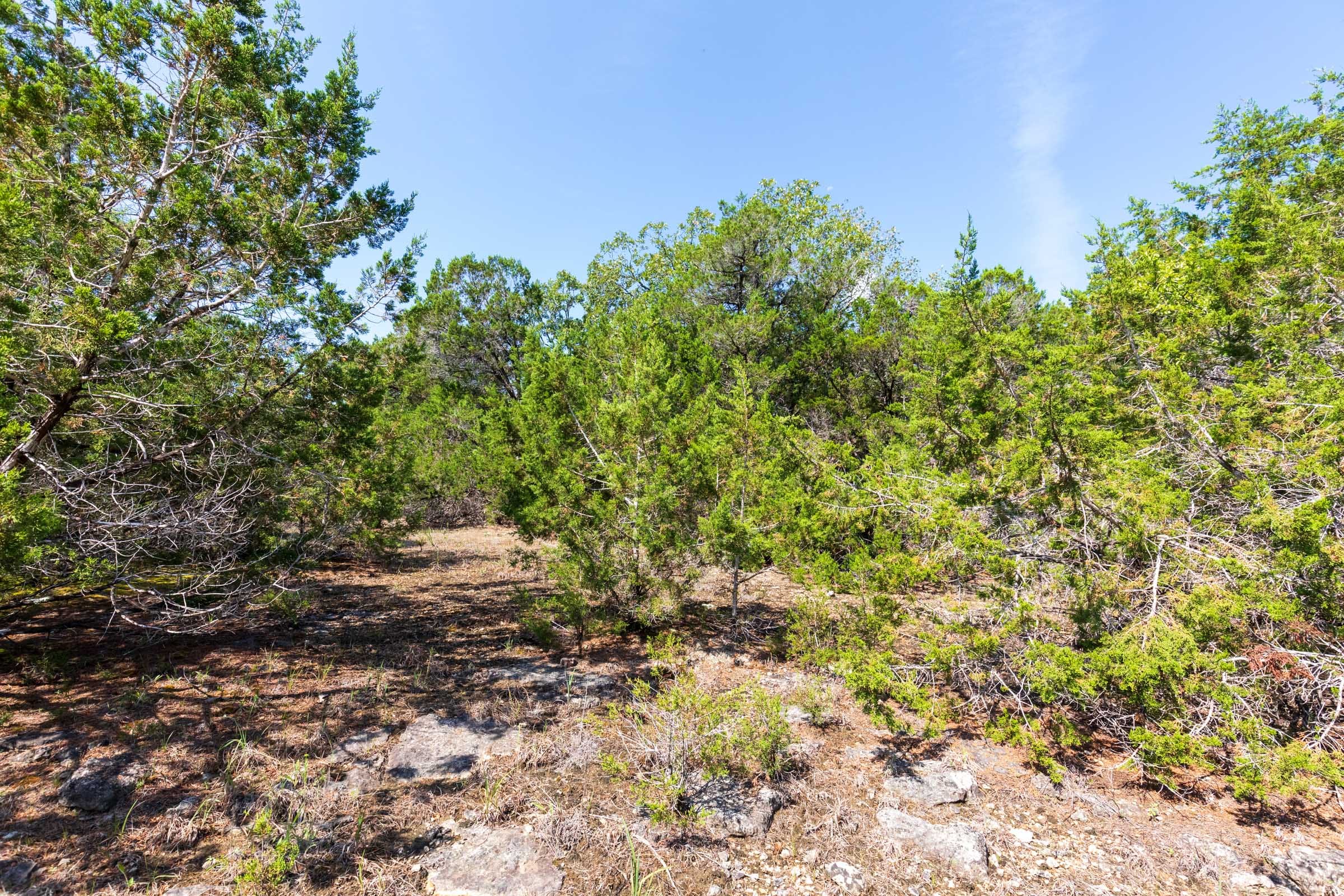 Heritage Bend Tract 29 photo 8