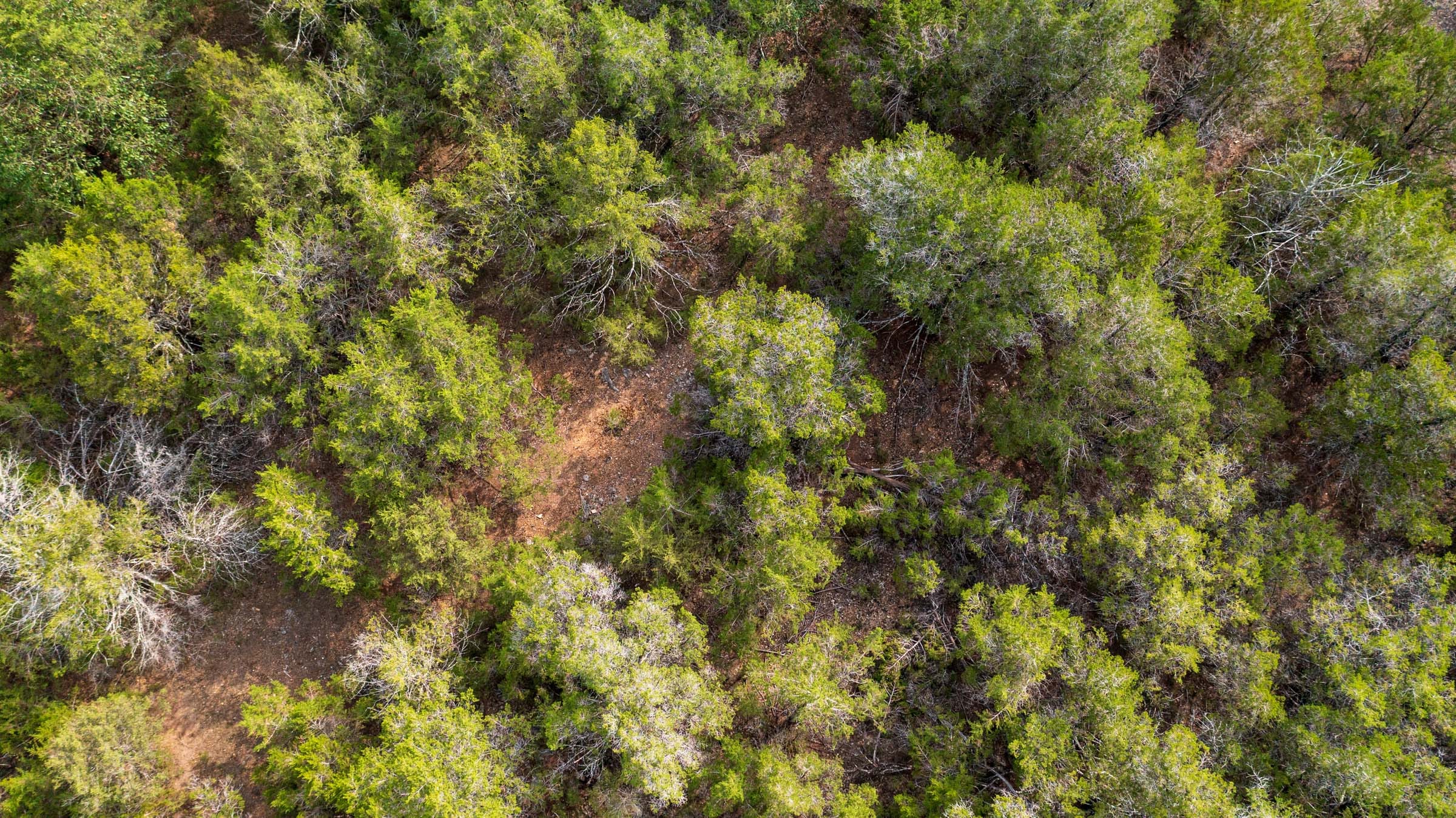 Heritage Bend Tract 29 photo 14