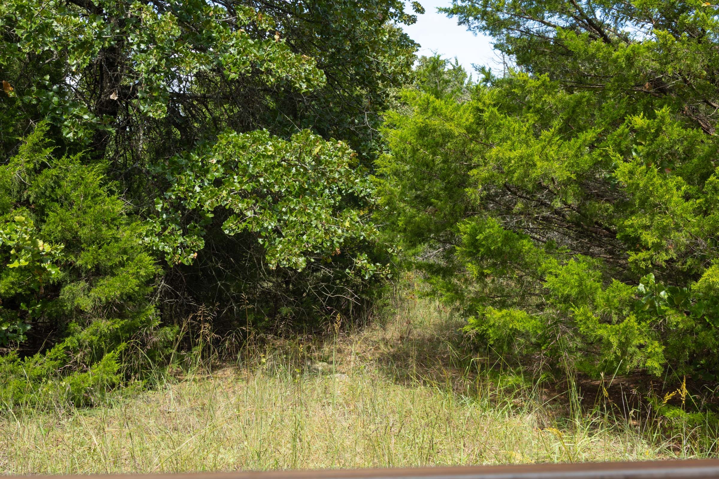 Reserves At Cattail Cove Phase II Tract 39 photo 7