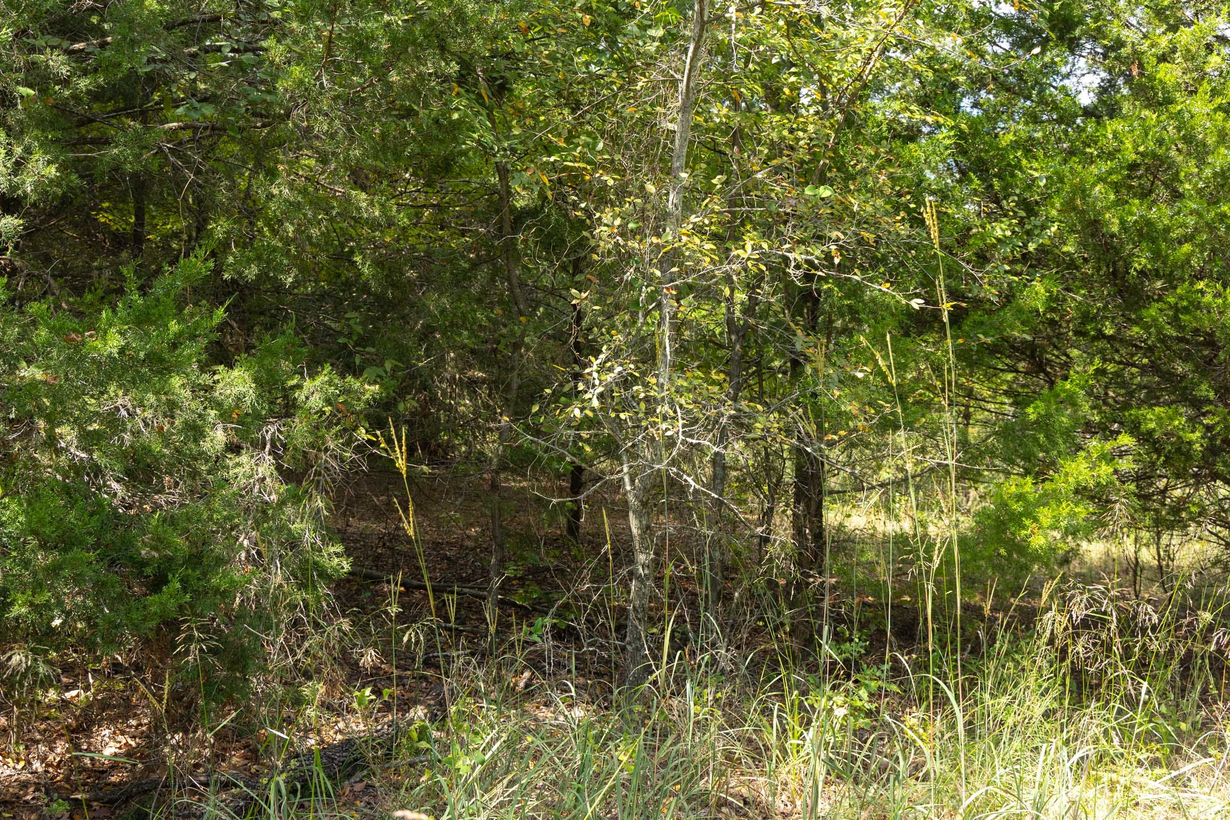 Reserves At Cattail Cove Phase II Tract 39 photo 8
