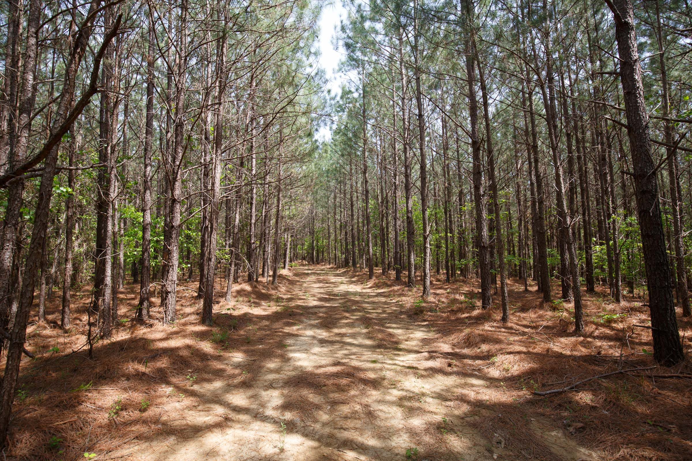 Red Barn Ranch Tract 53 photo 1