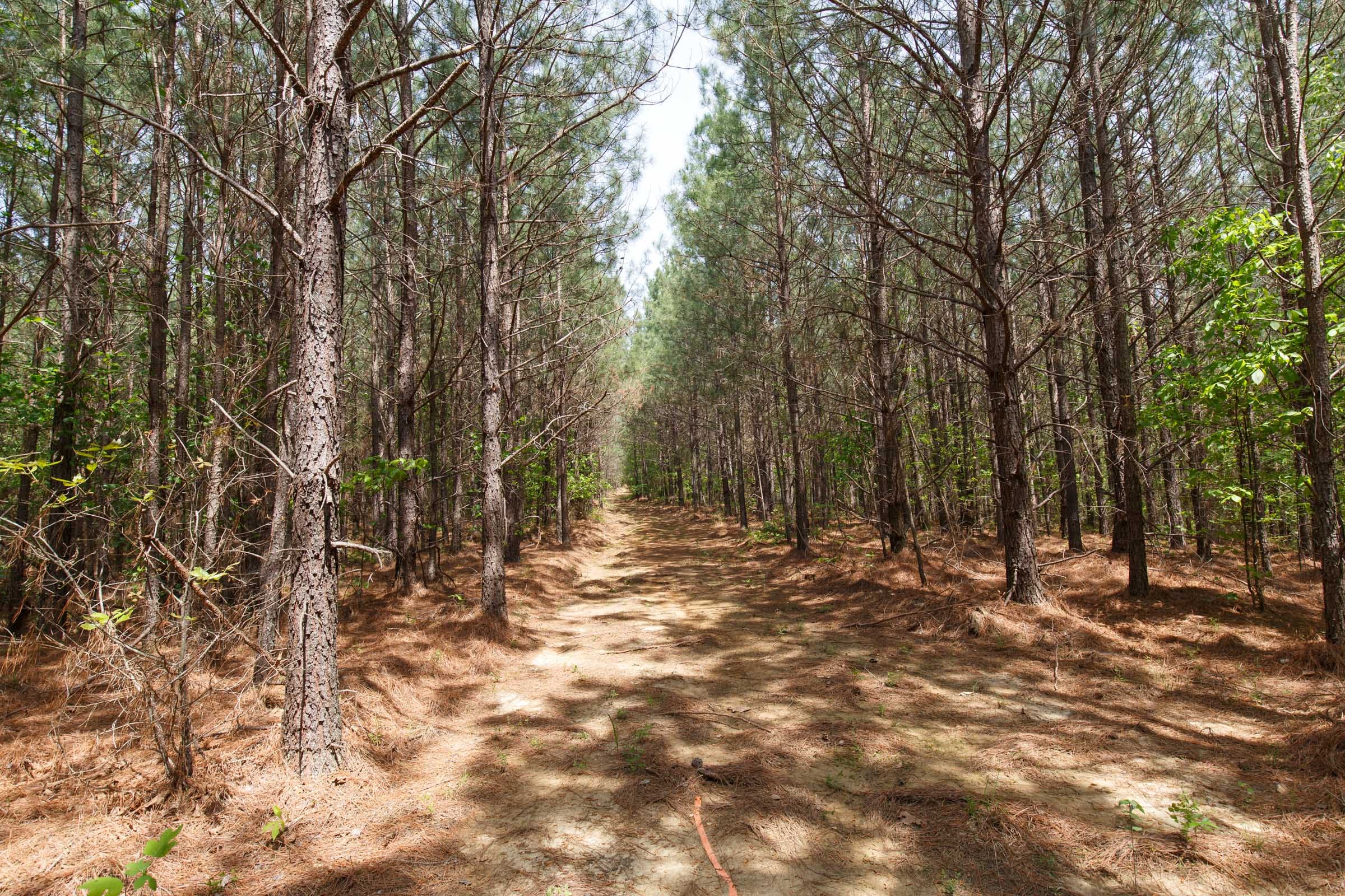 Red Barn Ranch Tract 53 photo 6