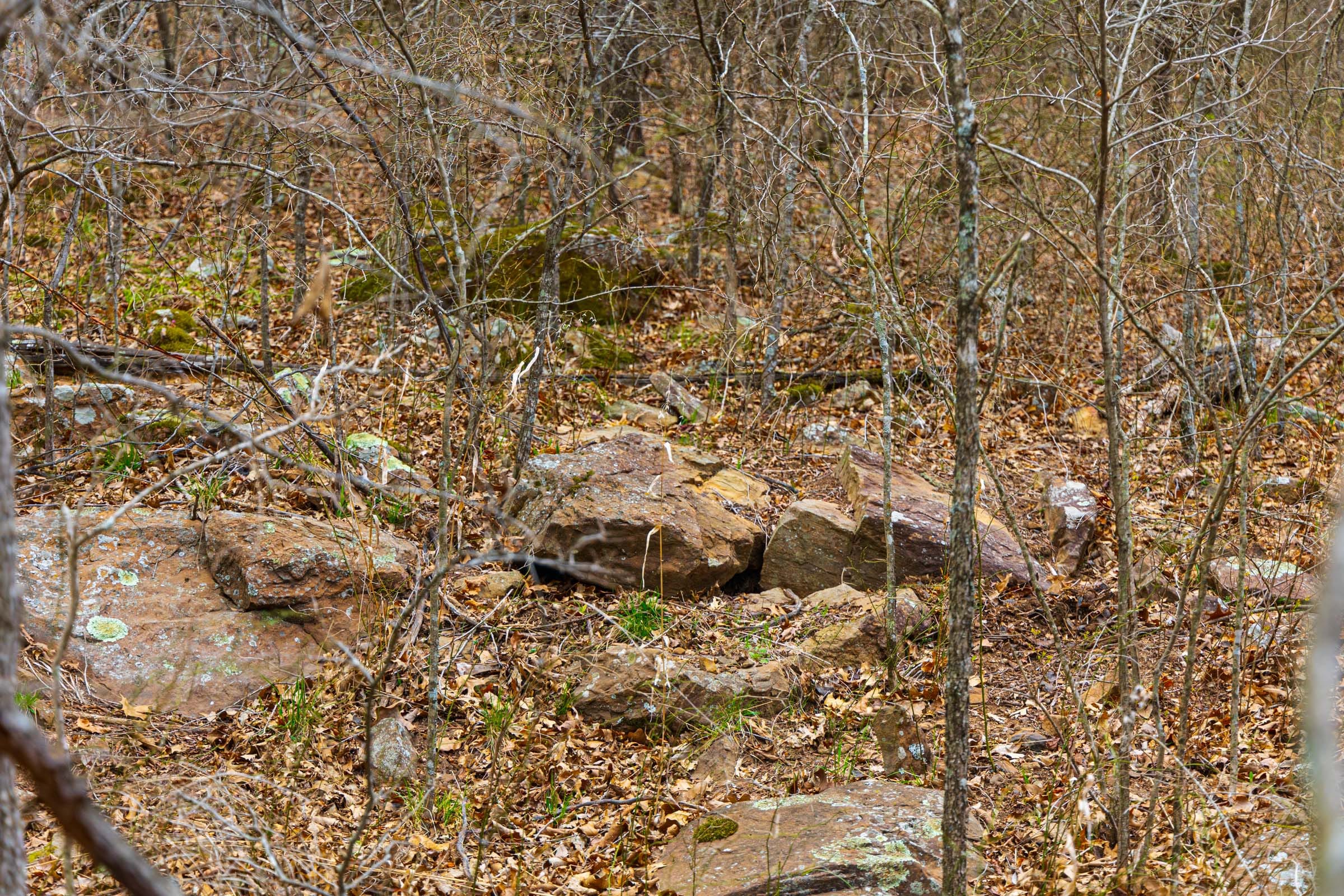 Reserves At Cattail Cove Phase I Tract 4 photo 13