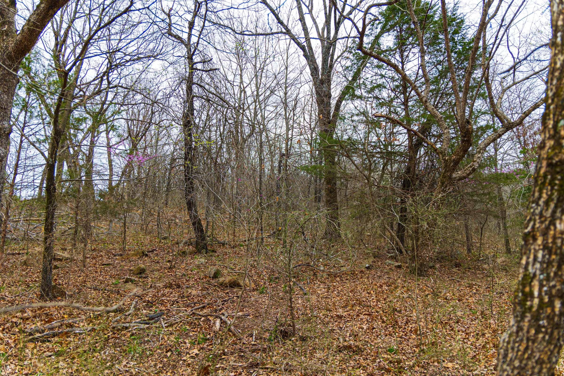 Reserves At Cattail Cove Phase I Tract 4 photo 12