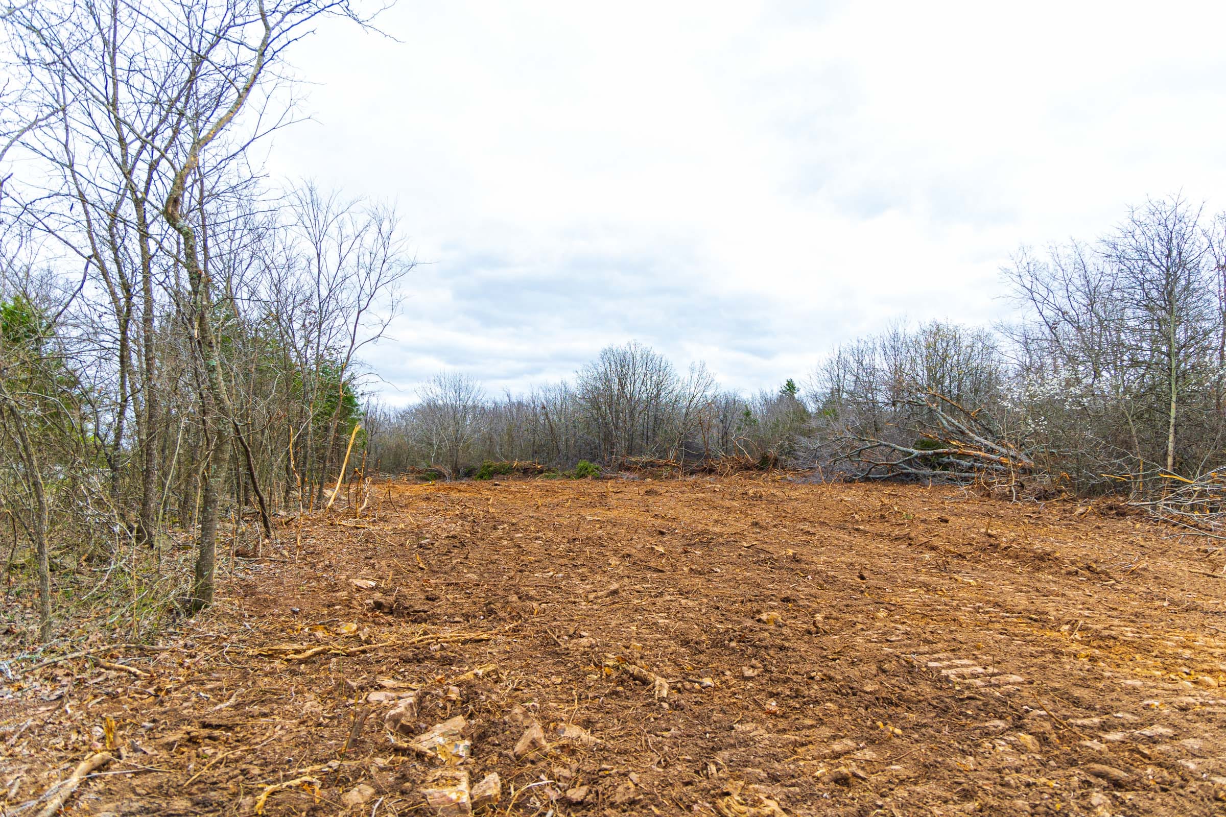 Reserves At Cattail Cove Phase I Tract 4 photo 8