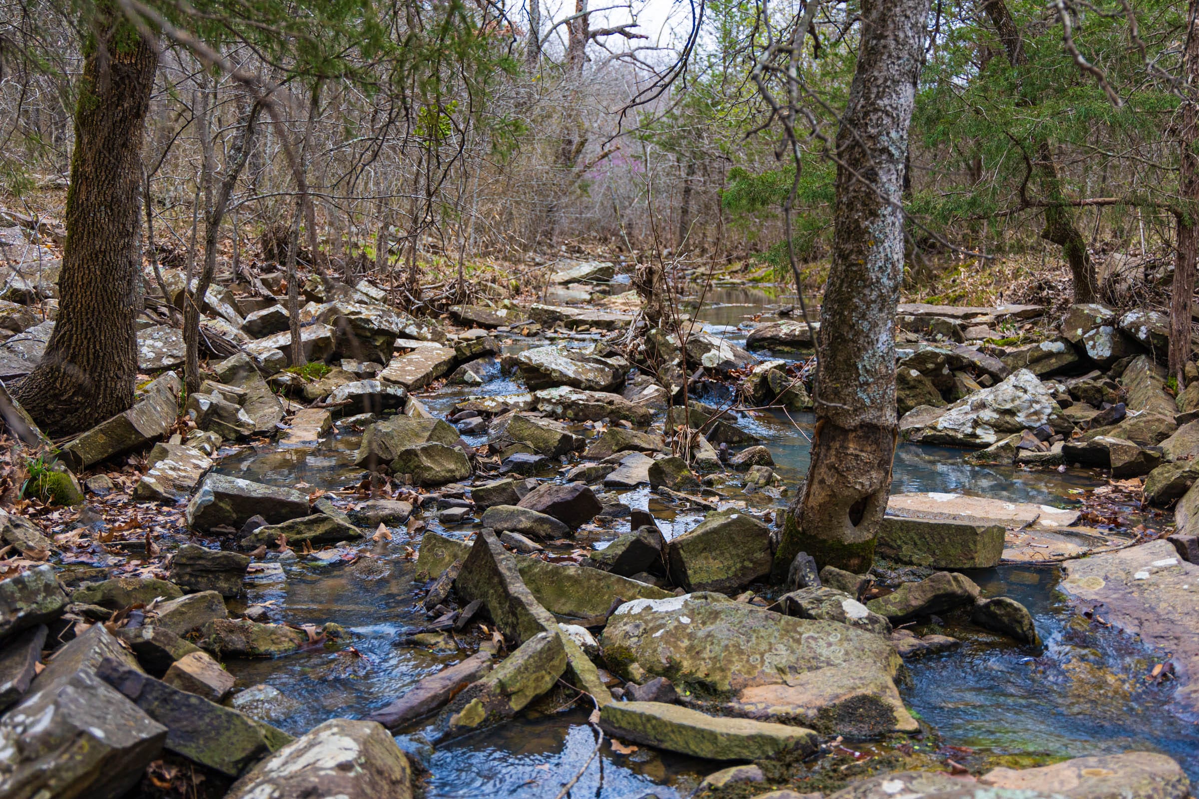 Reserves At Cattail Cove photo 9