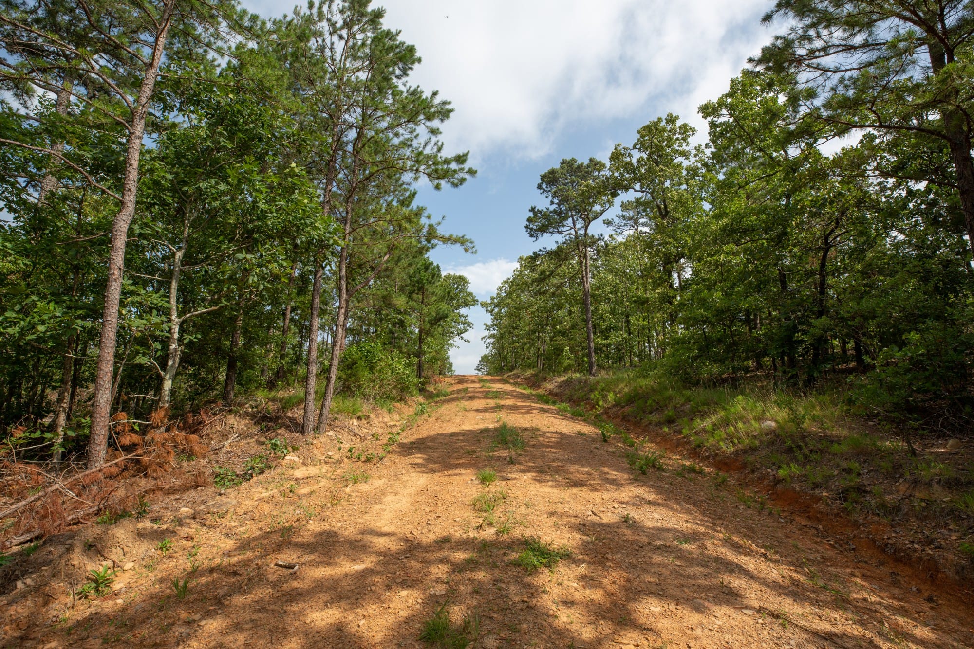 Eagle’s Nest Tract 36 photo 2