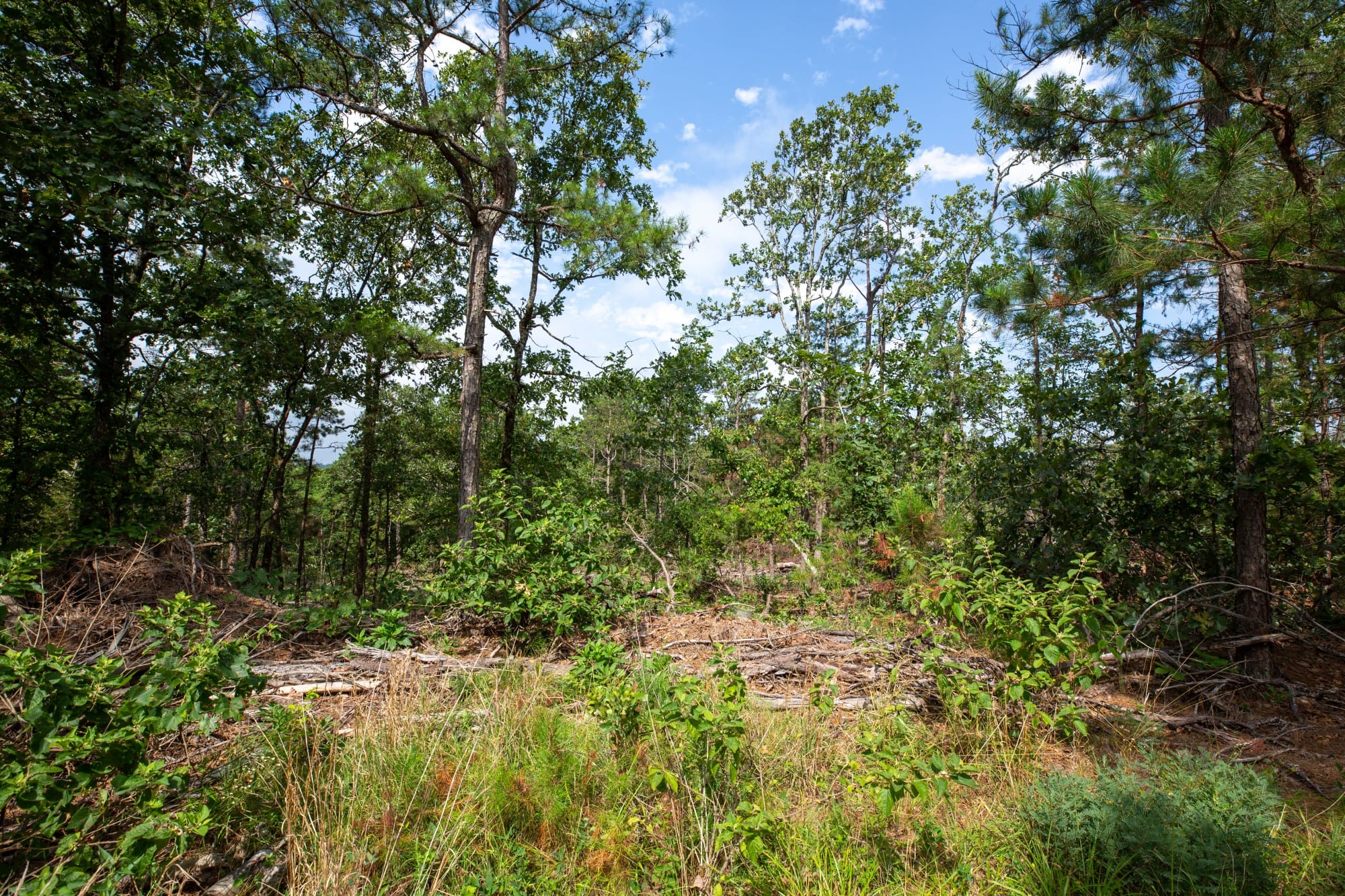 Eagle’s Nest Tract 36 photo 4