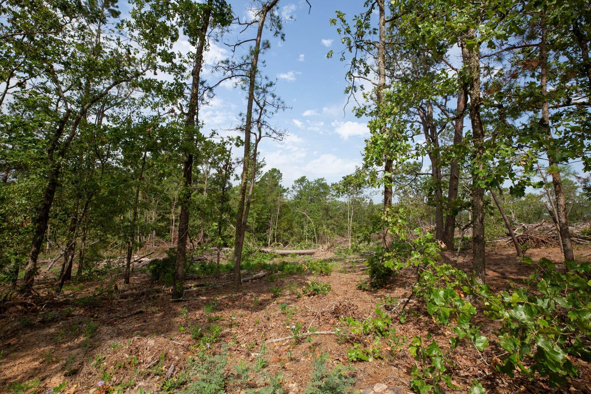 Eagle’s Nest Tract 36 photo 7