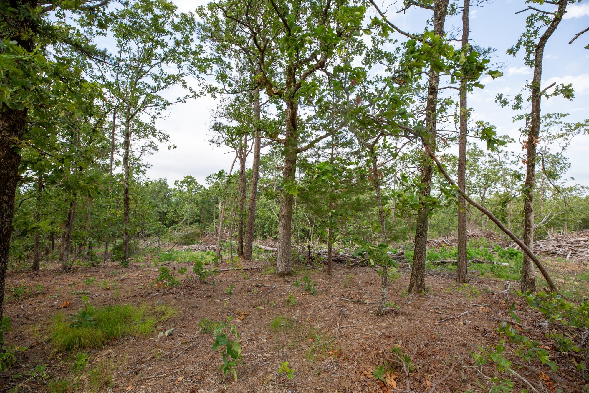 Eagle’s Nest Tract 36 photo 8