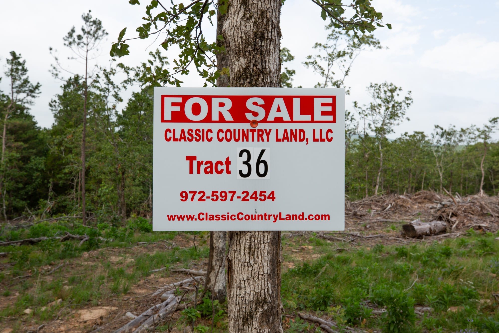 Eagle’s Nest Tract 36 photo 1