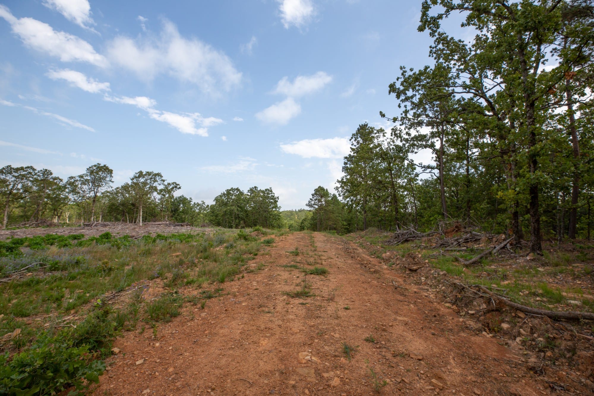 Eagle’s Nest Tract 36 photo 6