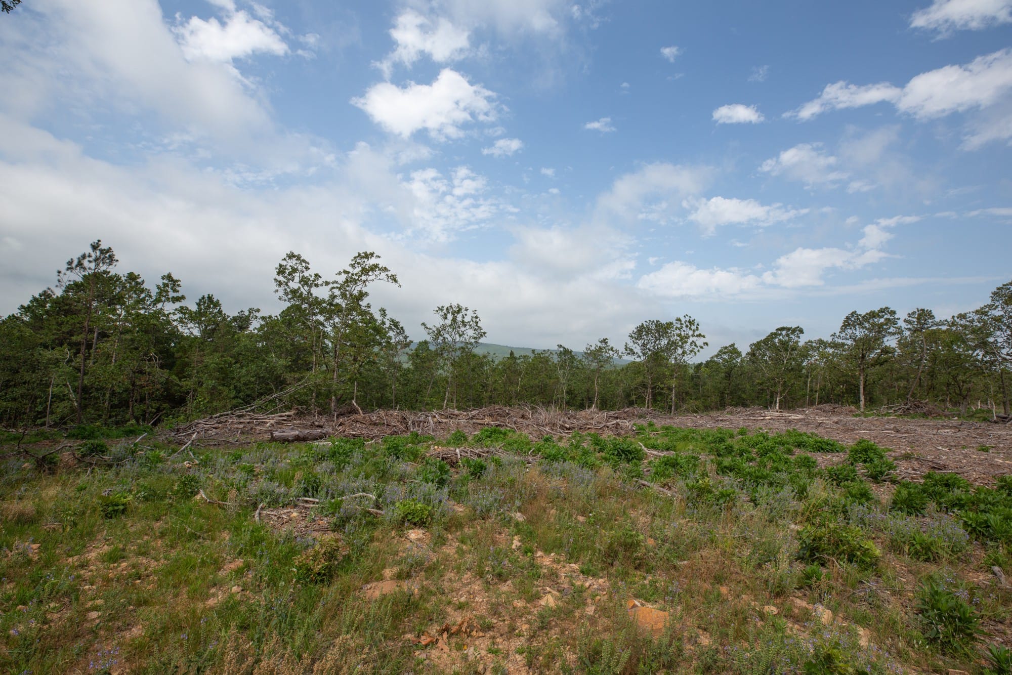 Eagle’s Nest Tract 36 photo 9