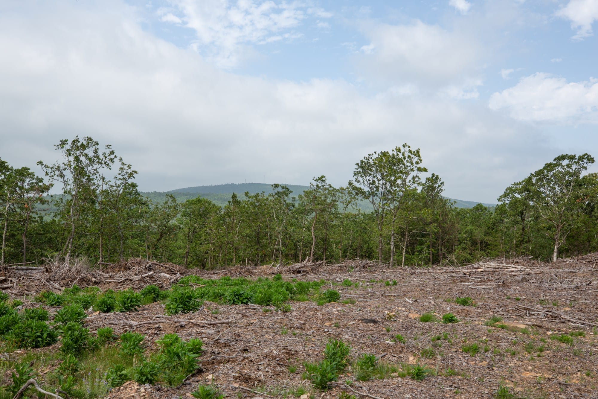 Eagle’s Nest Tract 36 photo 10