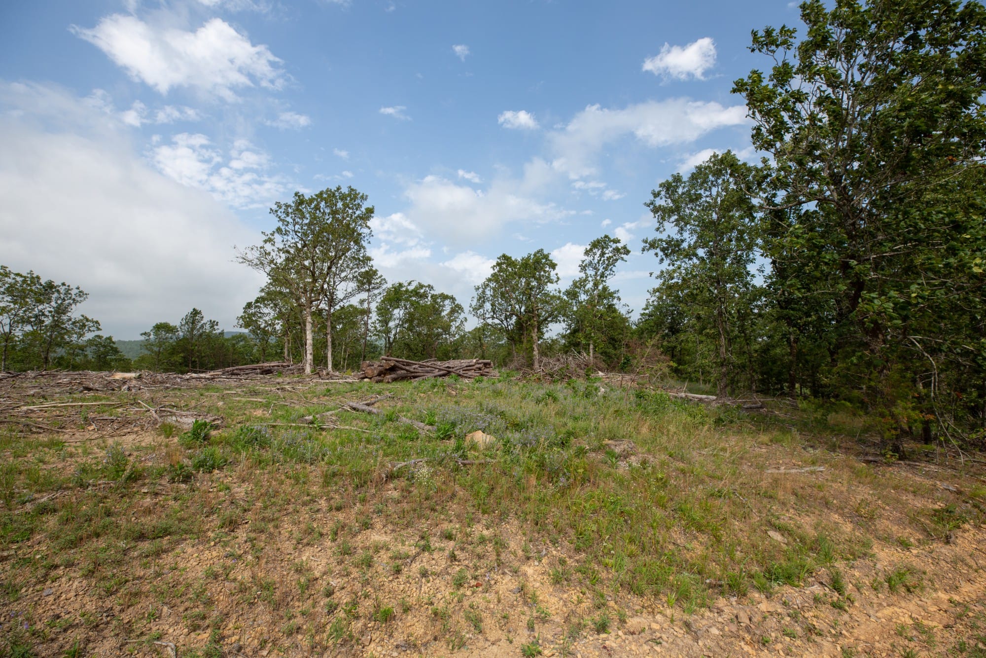 Eagle’s Nest Tract 36 photo 12