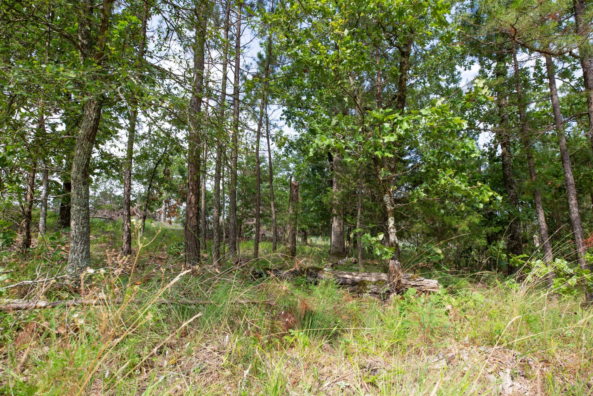 Eagle’s Nest Tract 36 photo 13