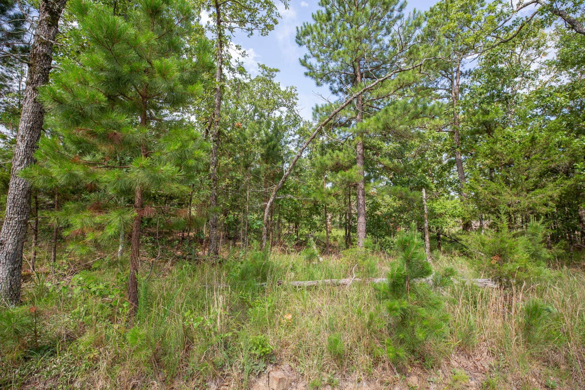 Eagle’s Nest Tract 36 photo 14