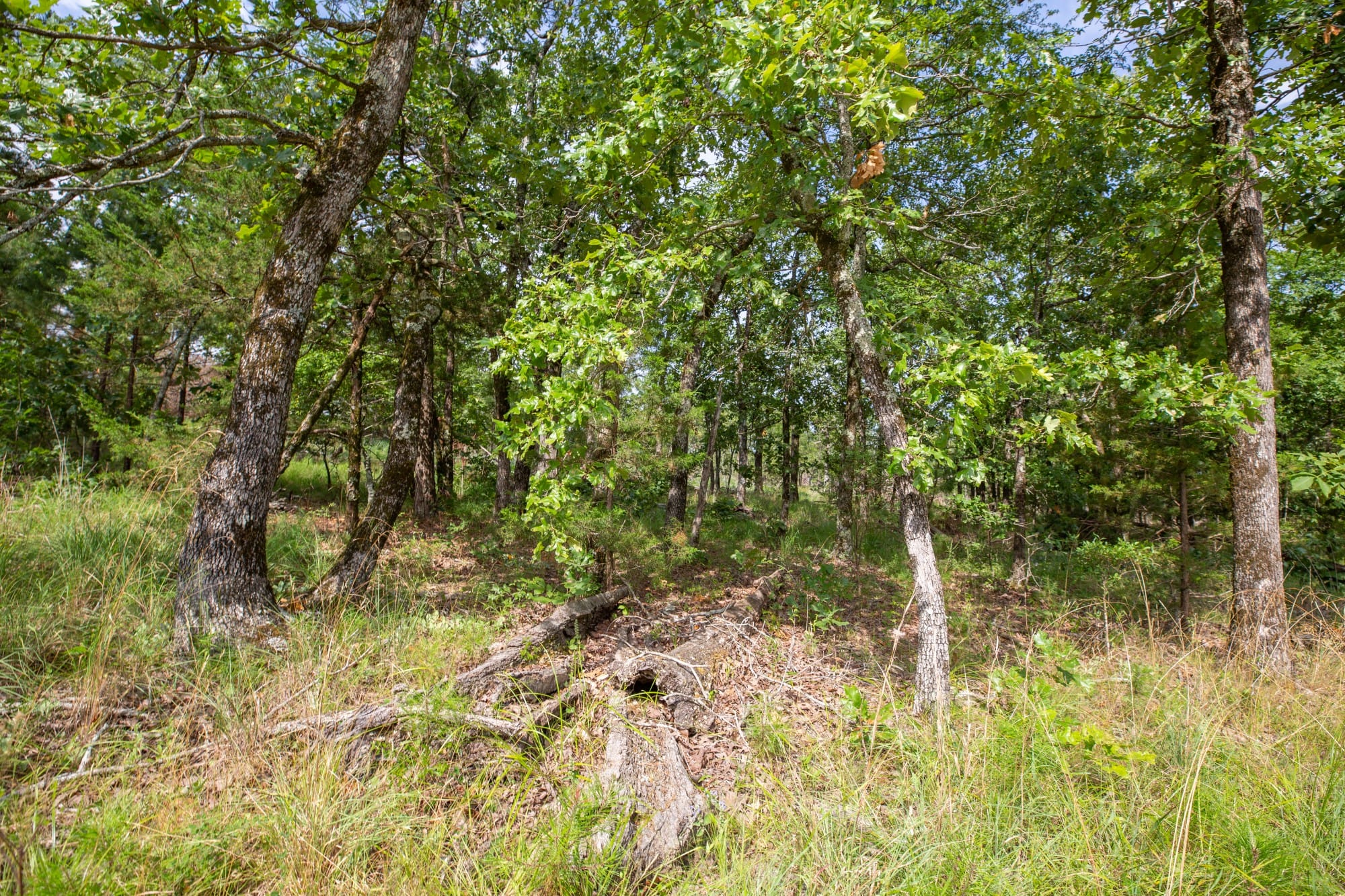 Eagle’s Nest Tract 36 photo 15
