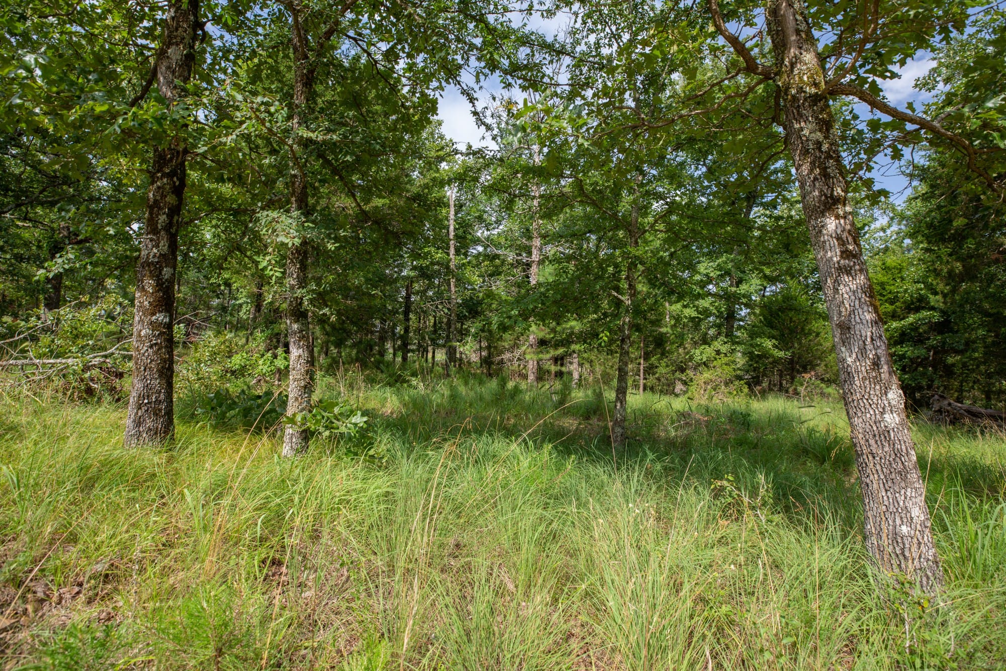 Eagle’s Nest Tract 36 photo 17