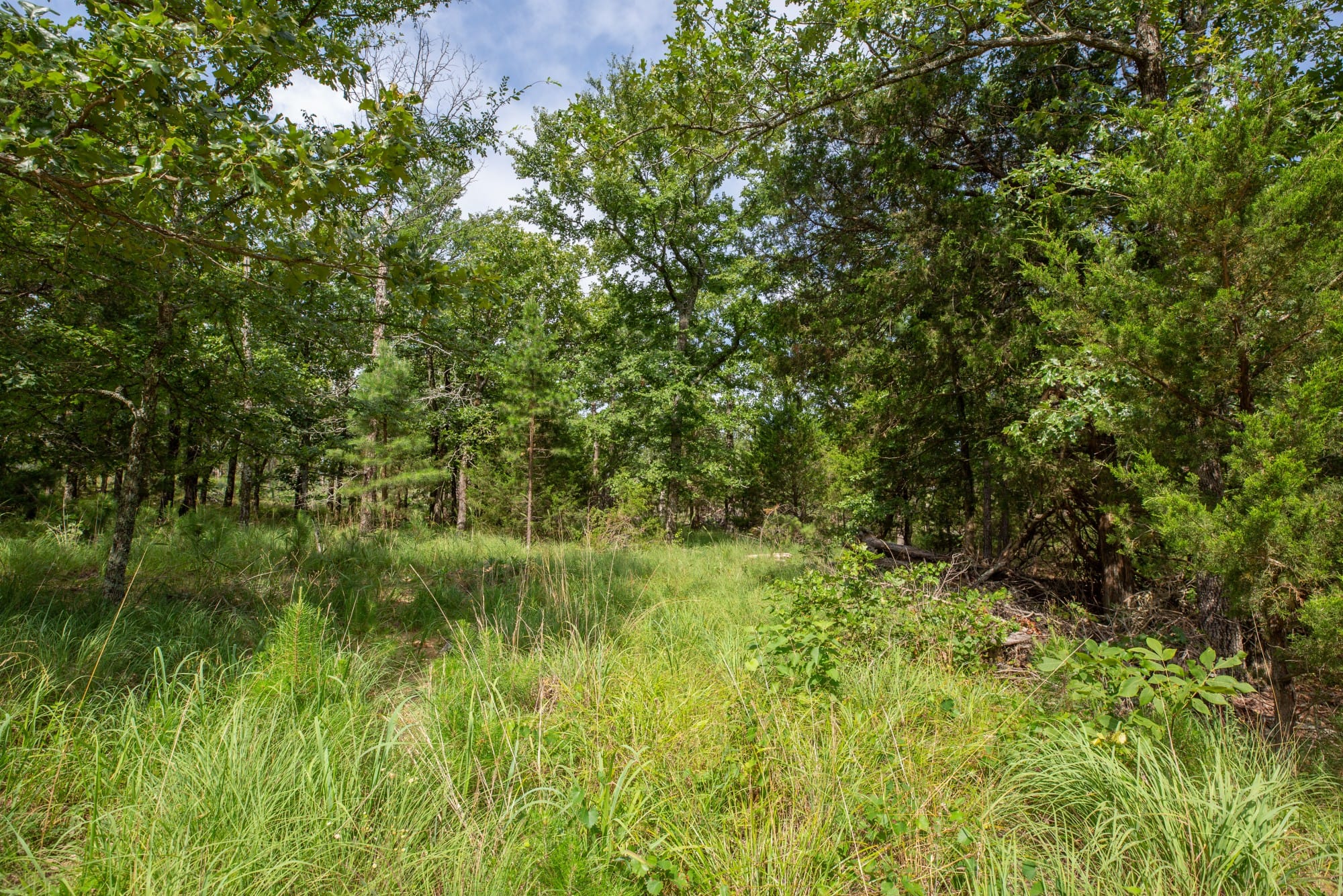 Eagle’s Nest Tract 36 photo 18