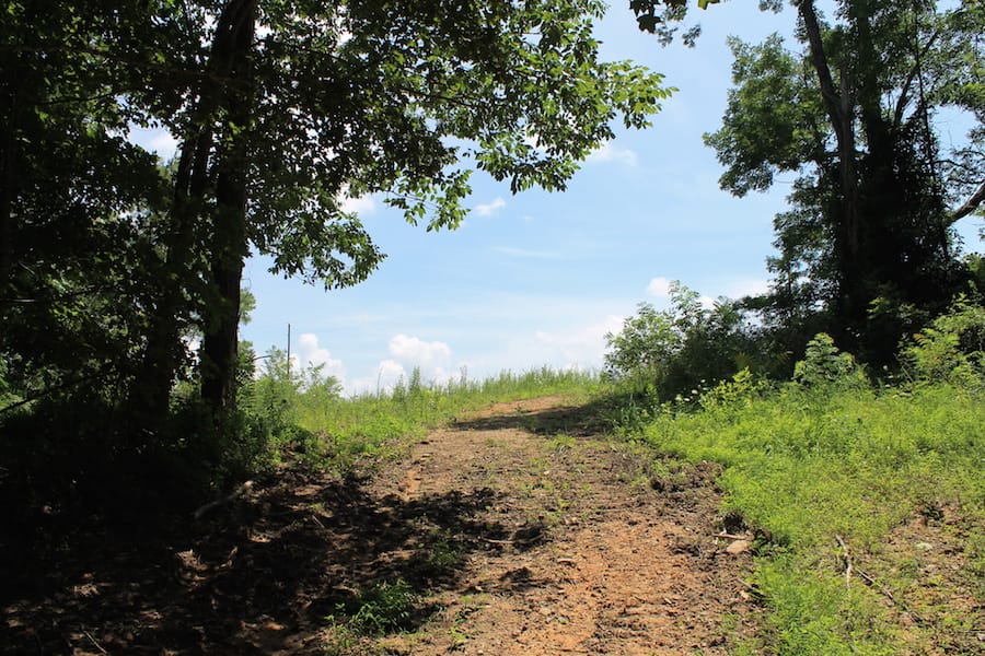 Cumberland Ridge Ranch Tract 4 photo 2