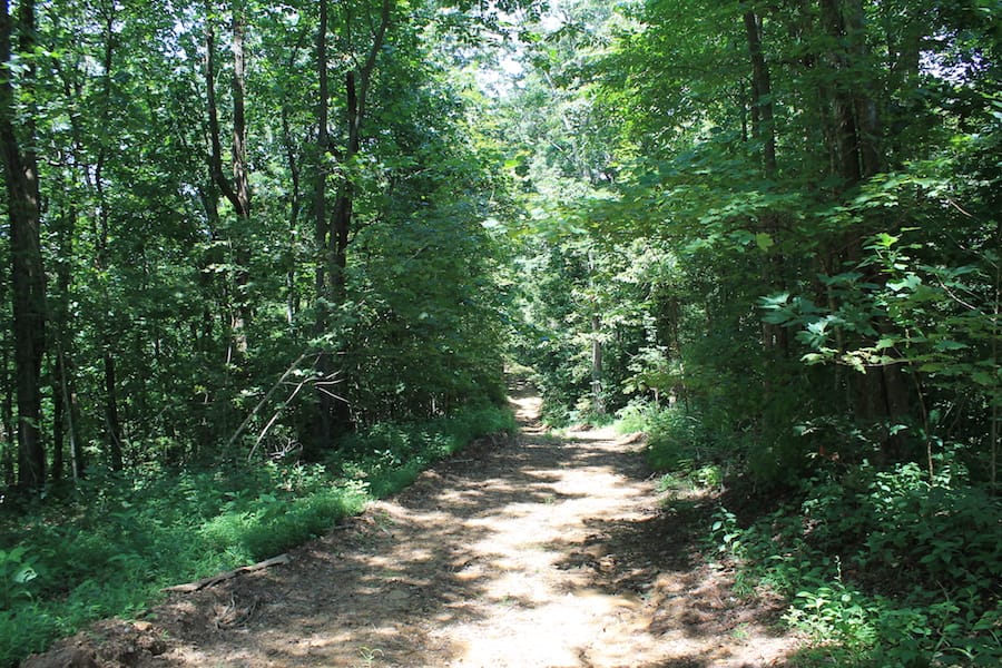 Cumberland Ridge Ranch Tract 4 photo 6
