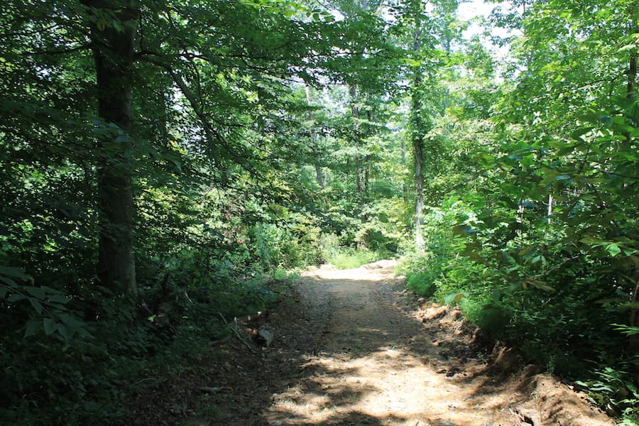 Cumberland Ridge Ranch Tract 4 photo 11