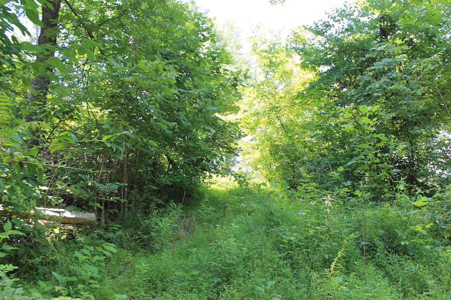 Cumberland Ridge Ranch Tract 4 photo 7