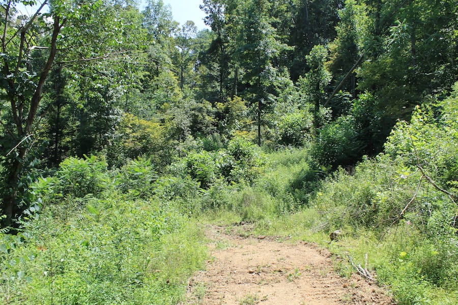 Cumberland Ridge Ranch Tract 4 photo 13