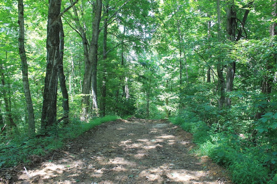 Cumberland Ridge Ranch Tract 4 photo 16