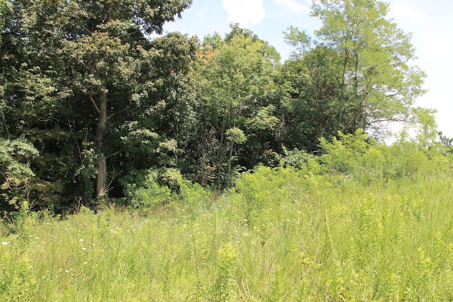 Cumberland Ridge Ranch Tract 4 photo 15
