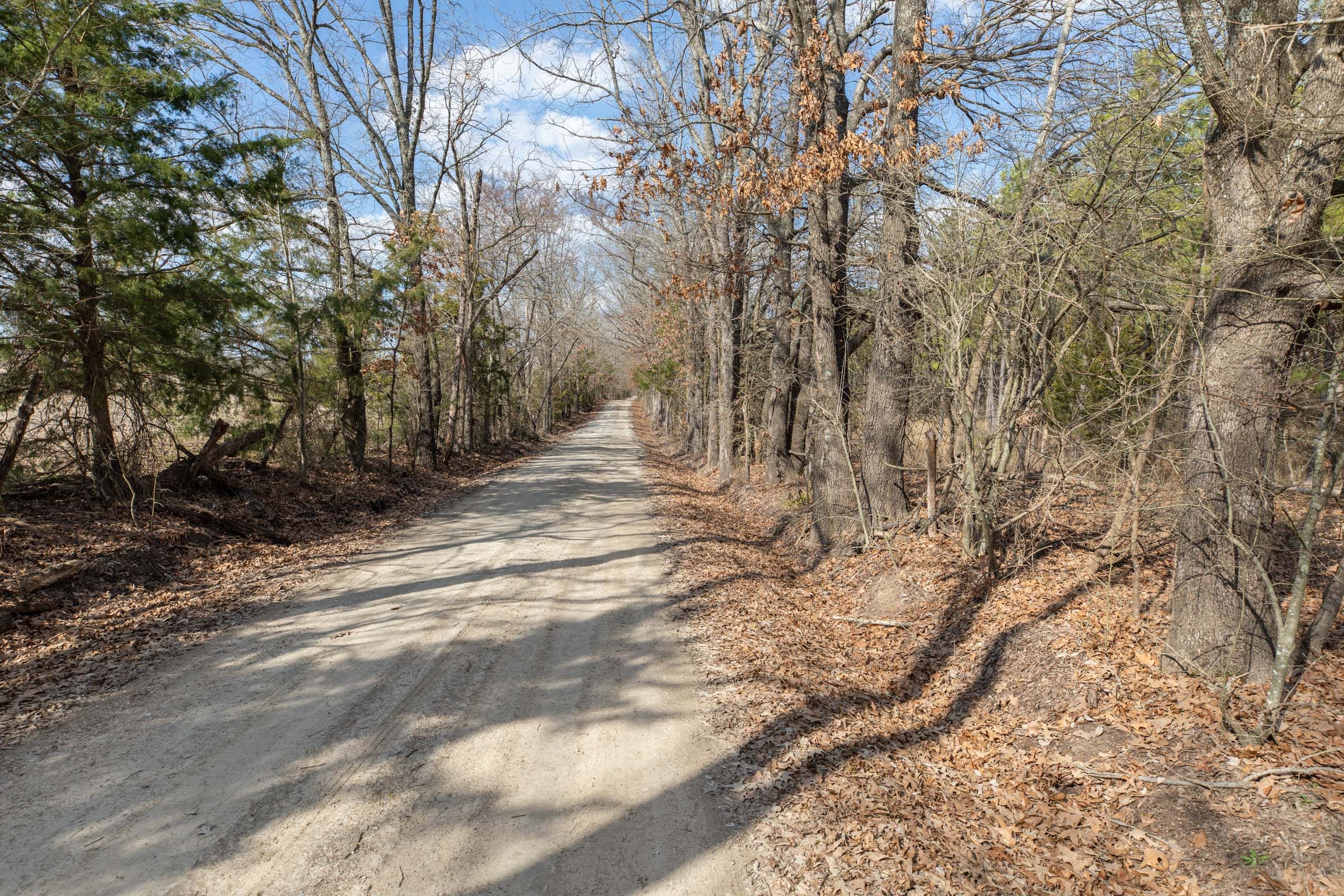 Wishing Star Ranch Tract 45 photo 6