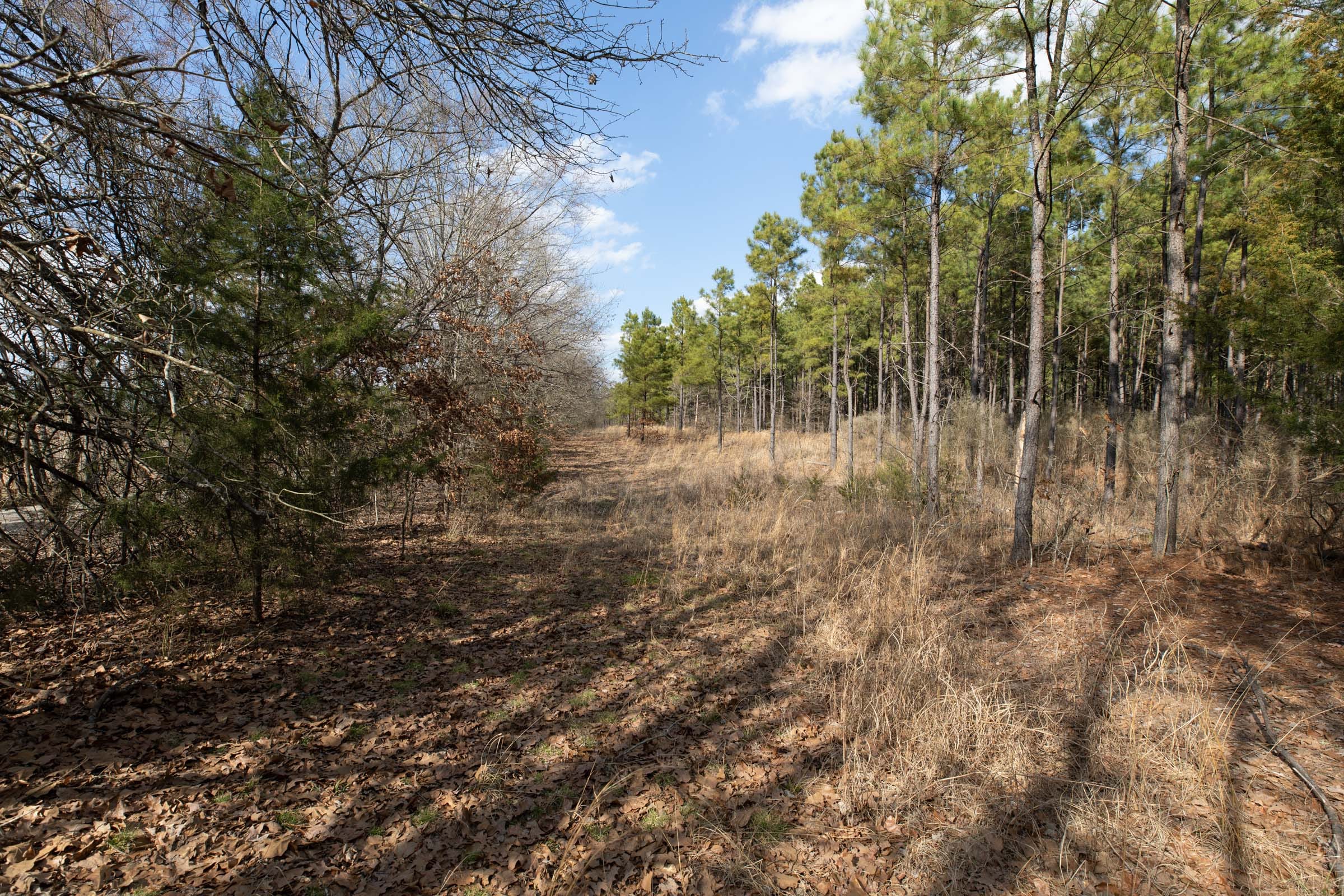 Wishing Star Ranch Tract 45 photo 5