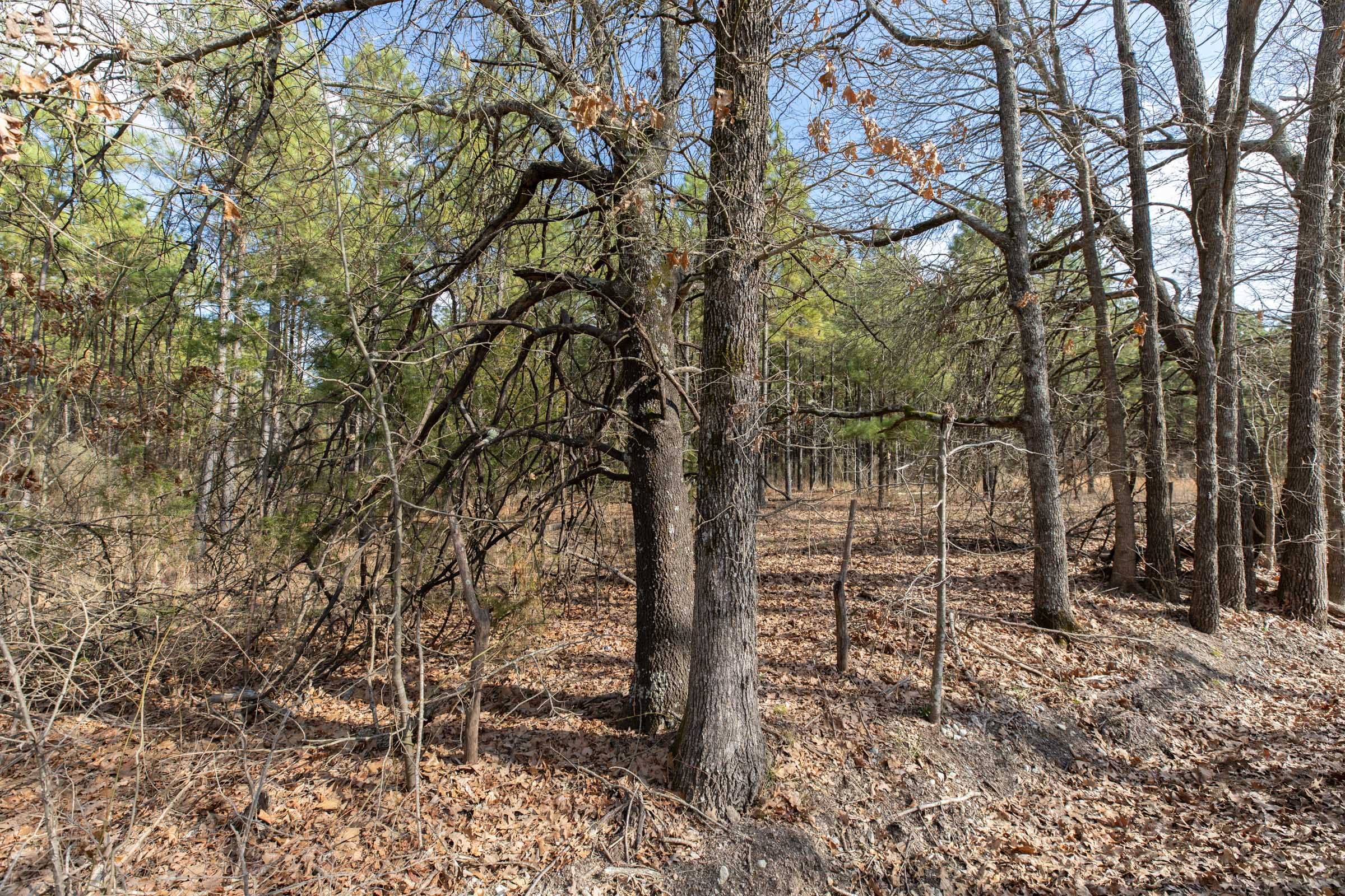 Wishing Star Ranch Tract 45 photo 10