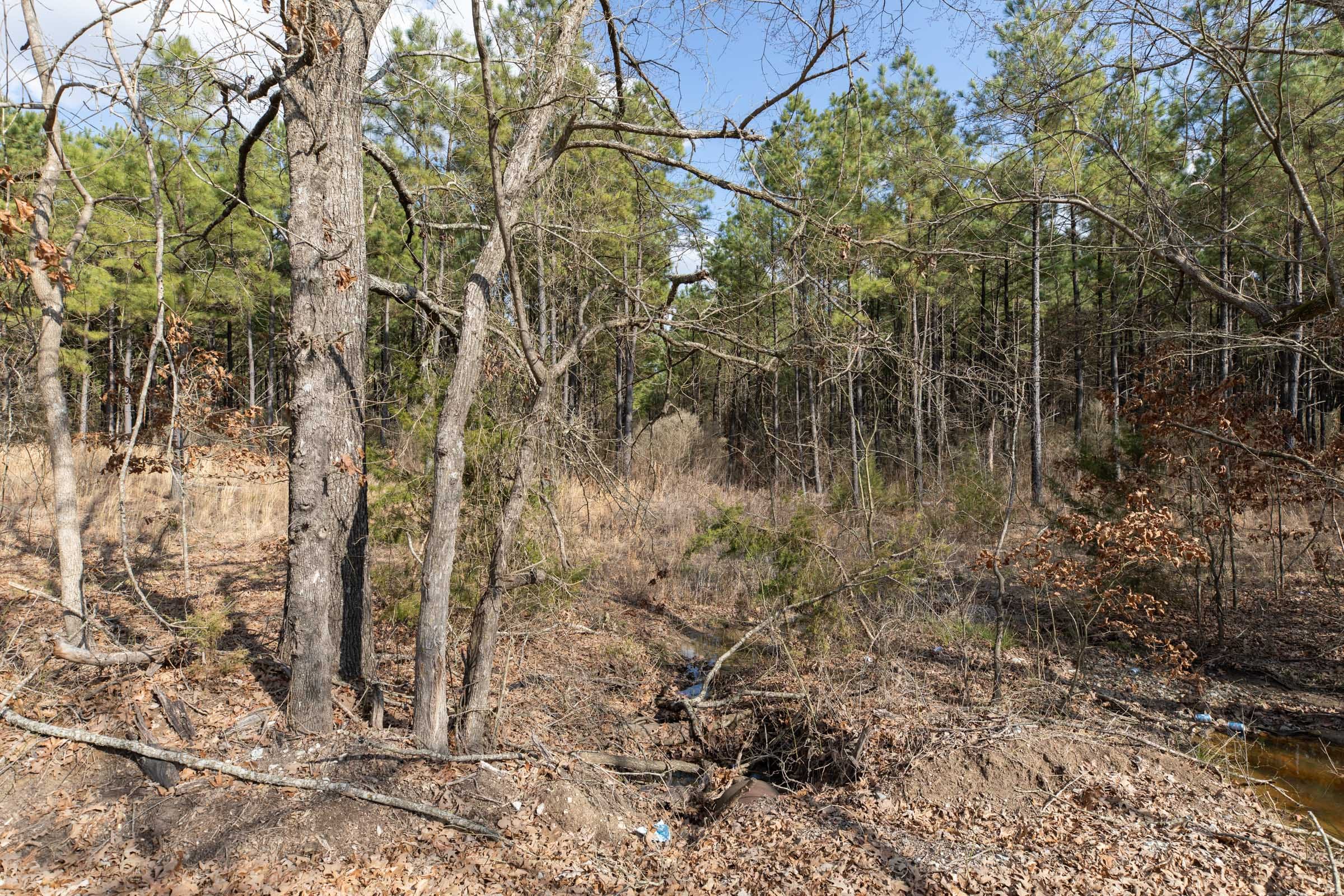 Wishing Star Ranch Tract 45 photo 11