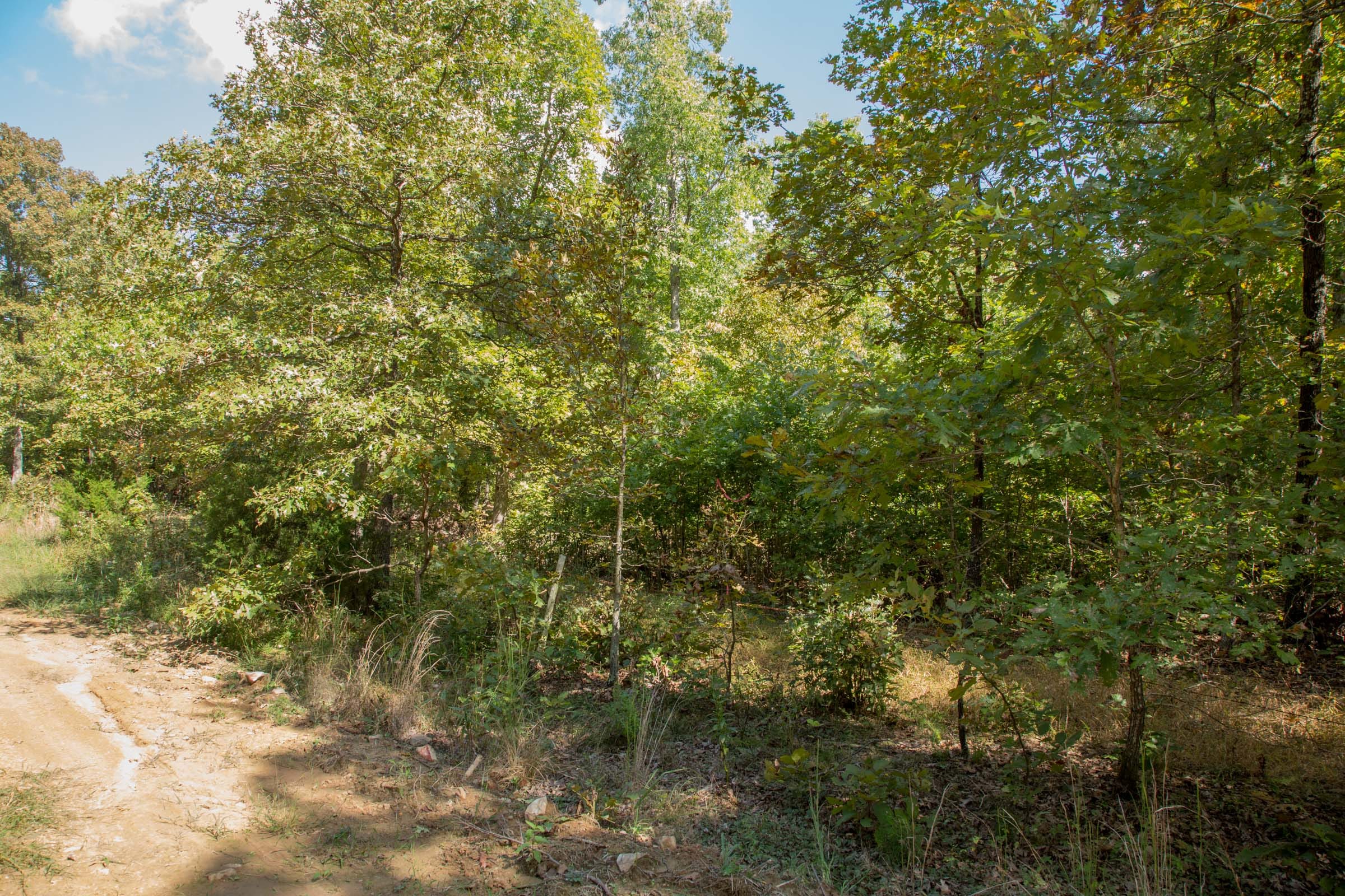 Wagon Wheel Ranch Tract 10 photo 3