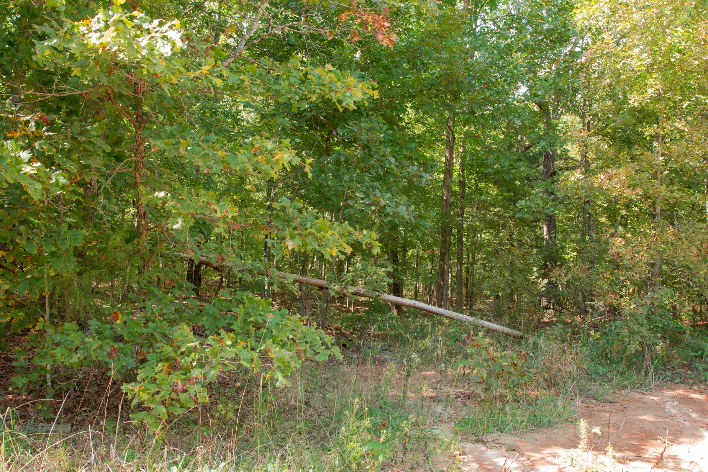Wagon Wheel Ranch Tract 10 photo 4