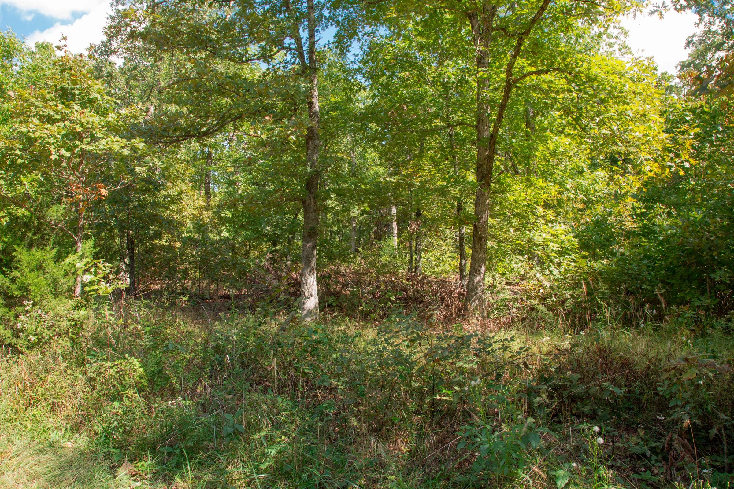 Wagon Wheel Ranch Tract 10 photo 1