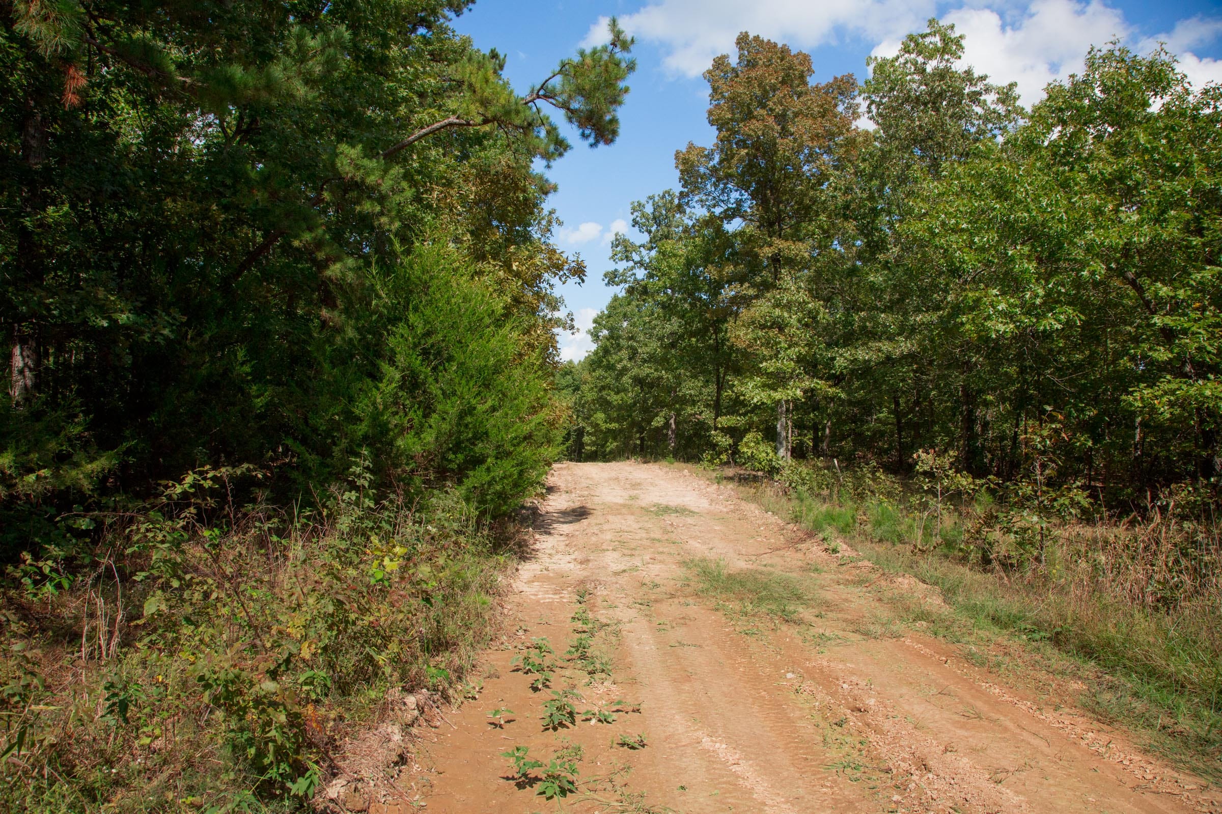 Wagon Wheel Ranch Tract 10 photo 2