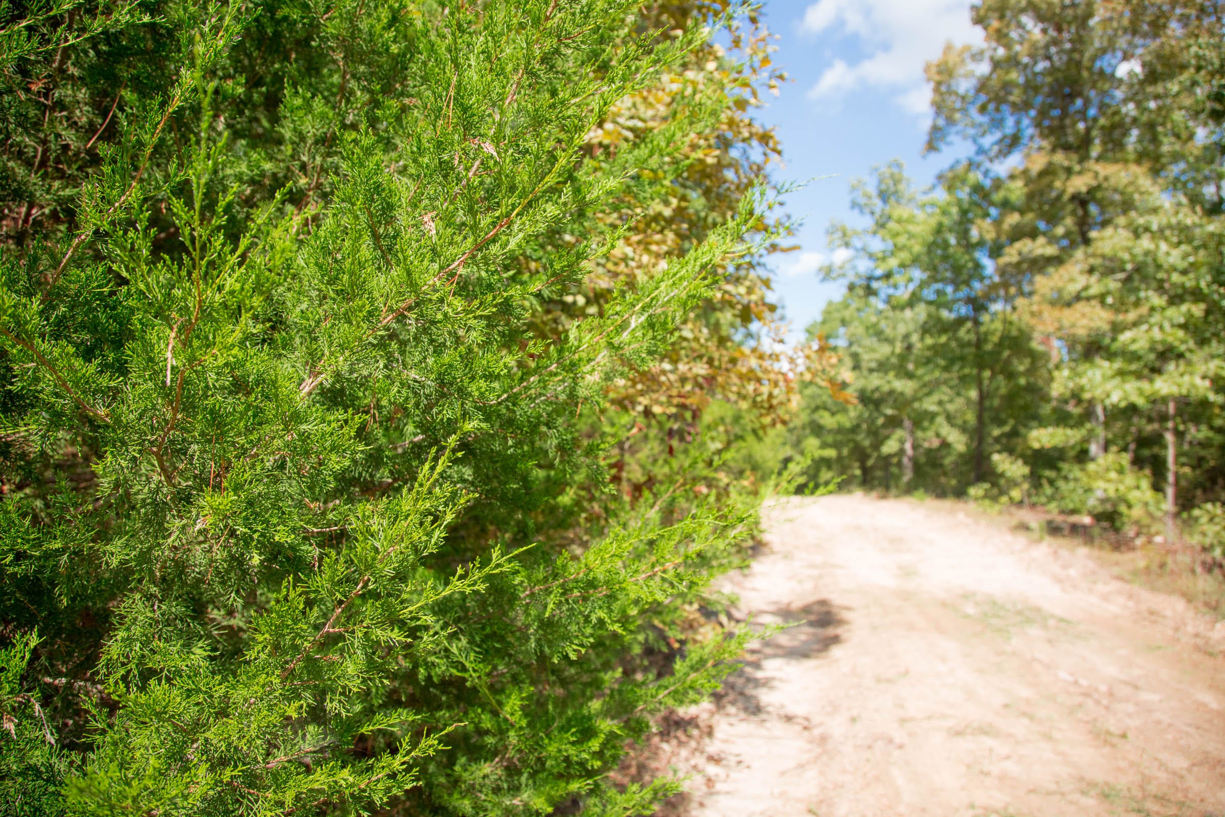 Wagon Wheel Ranch Tract 10 photo 7