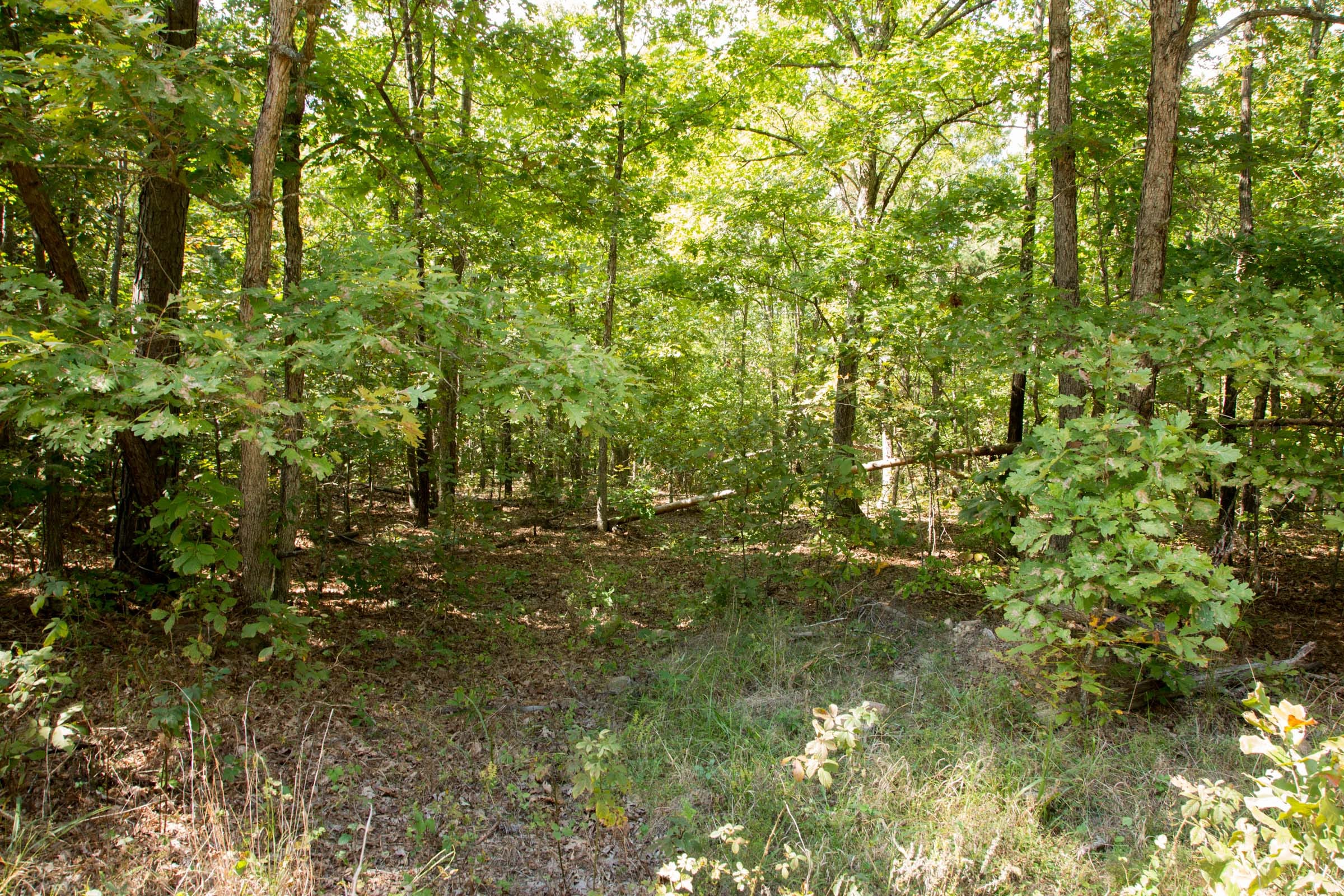 Wagon Wheel Ranch Tract 10 photo 8