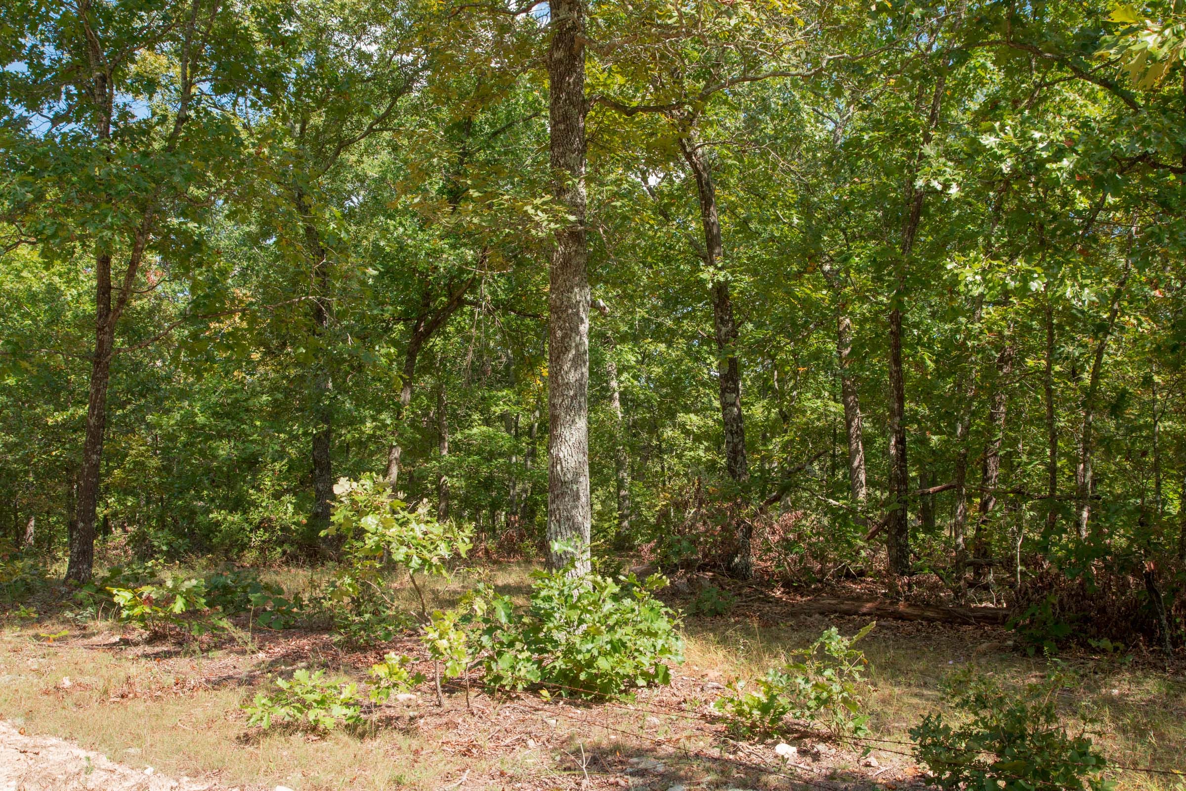 Wagon Wheel Ranch Tract 10 photo 9