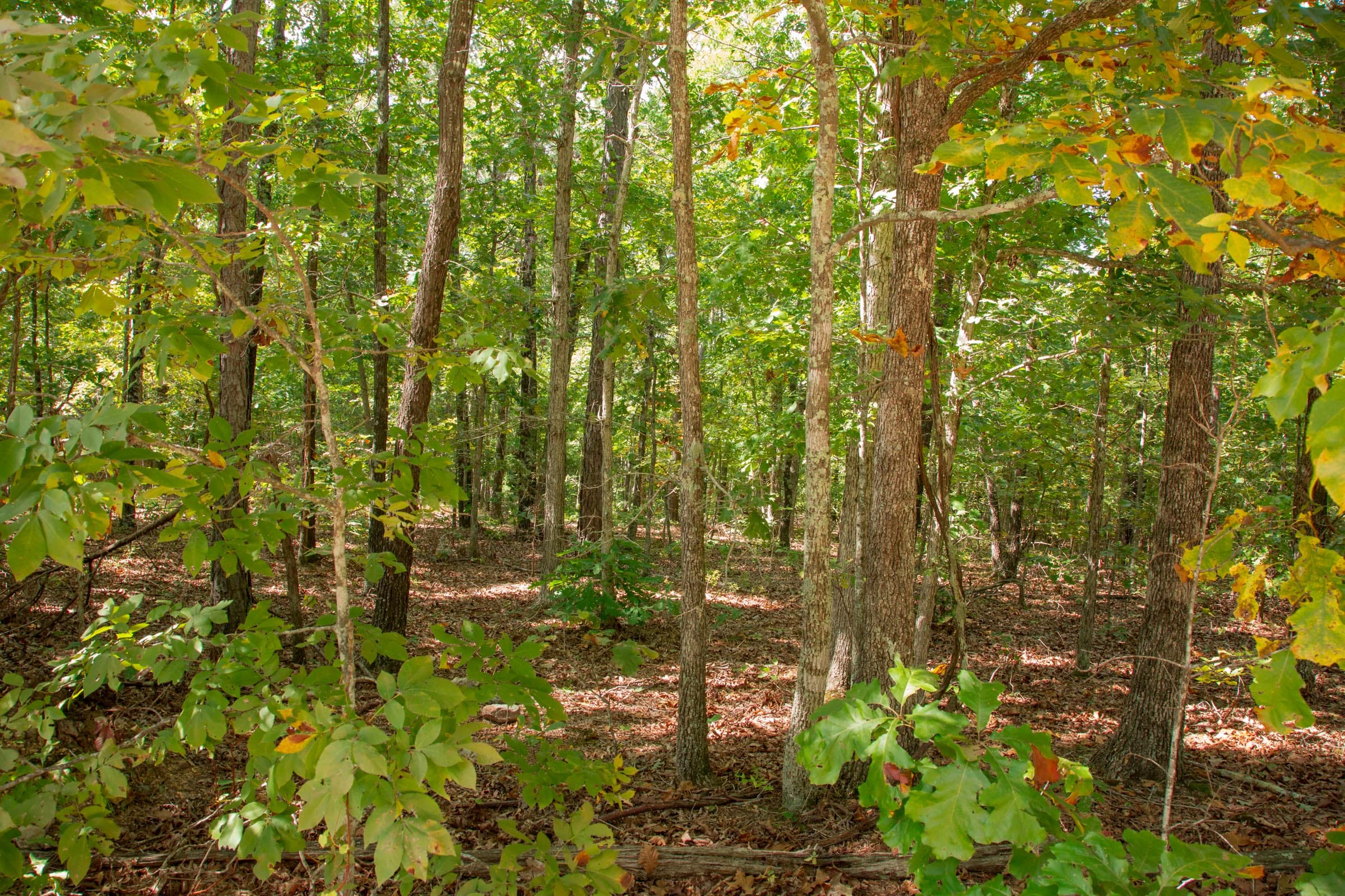 Wagon Wheel Ranch Tract 10 photo 11