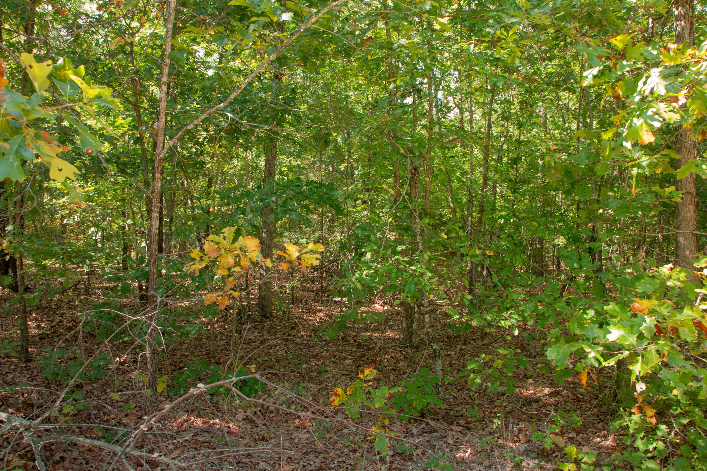 Wagon Wheel Ranch Tract 10 photo 12