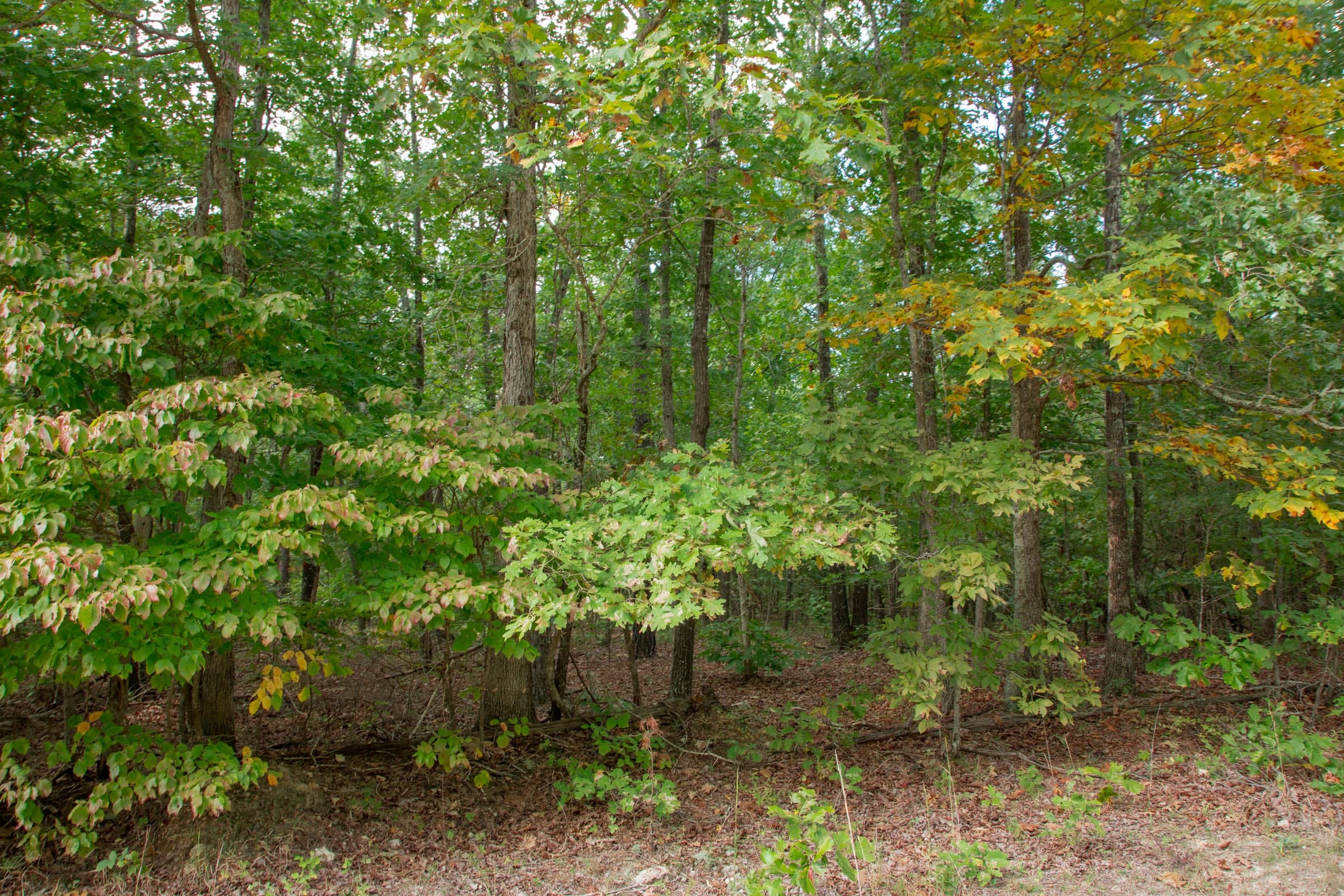 Wagon Wheel Ranch Tract 10 photo 13