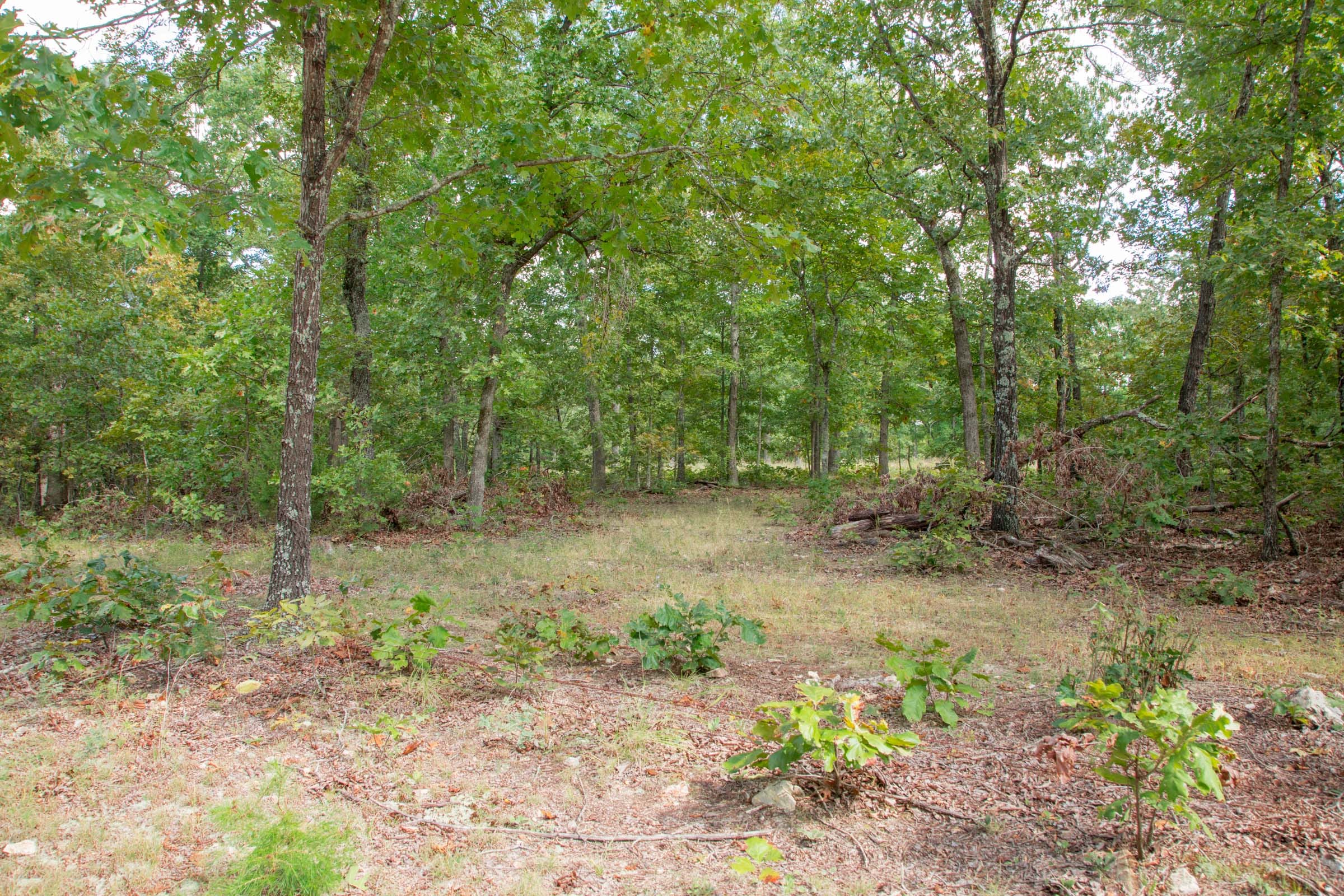 Wagon Wheel Ranch Tract 10 photo 14