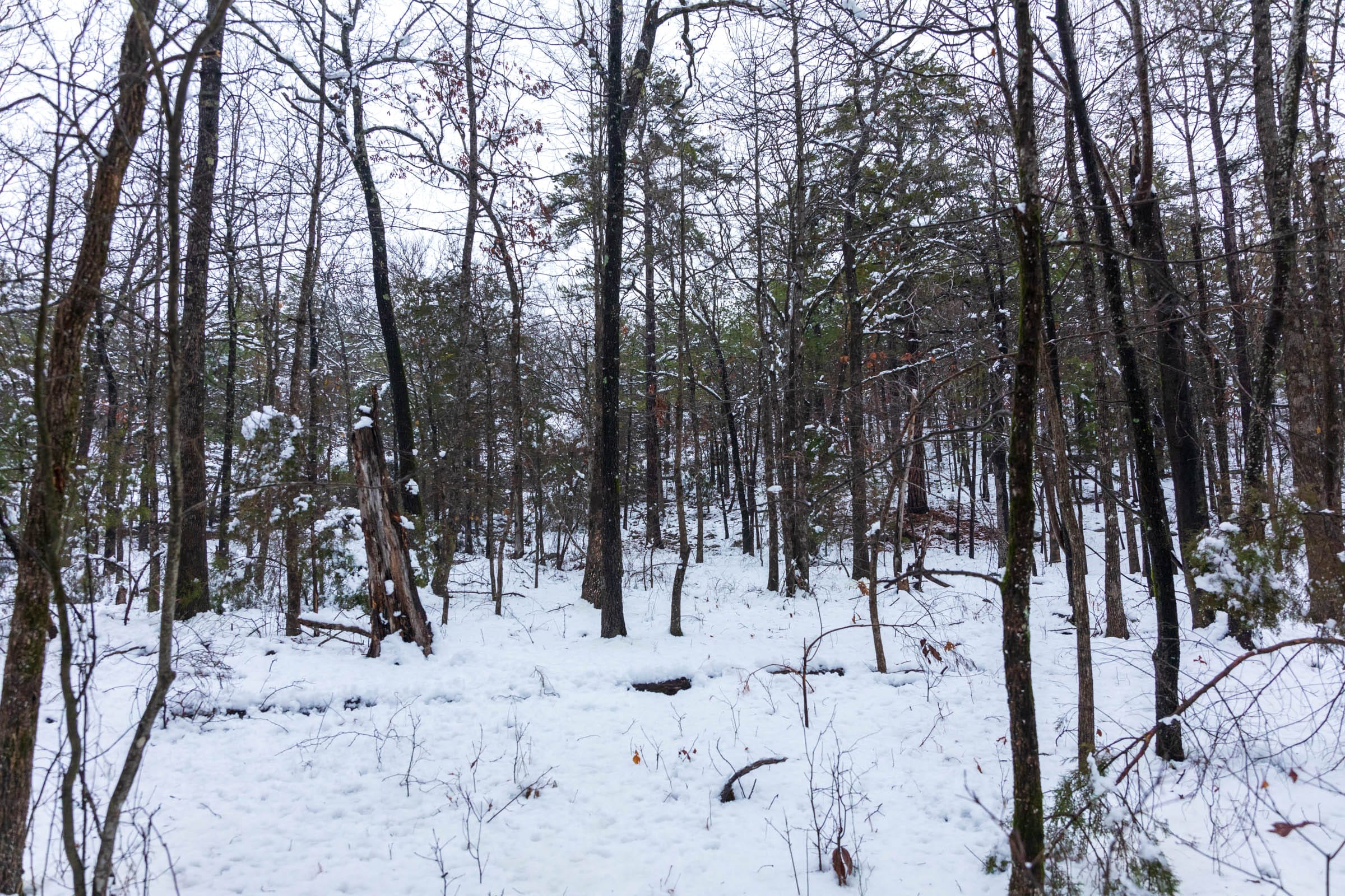 Stone Bridge Phase IV Tract 300 photo 6