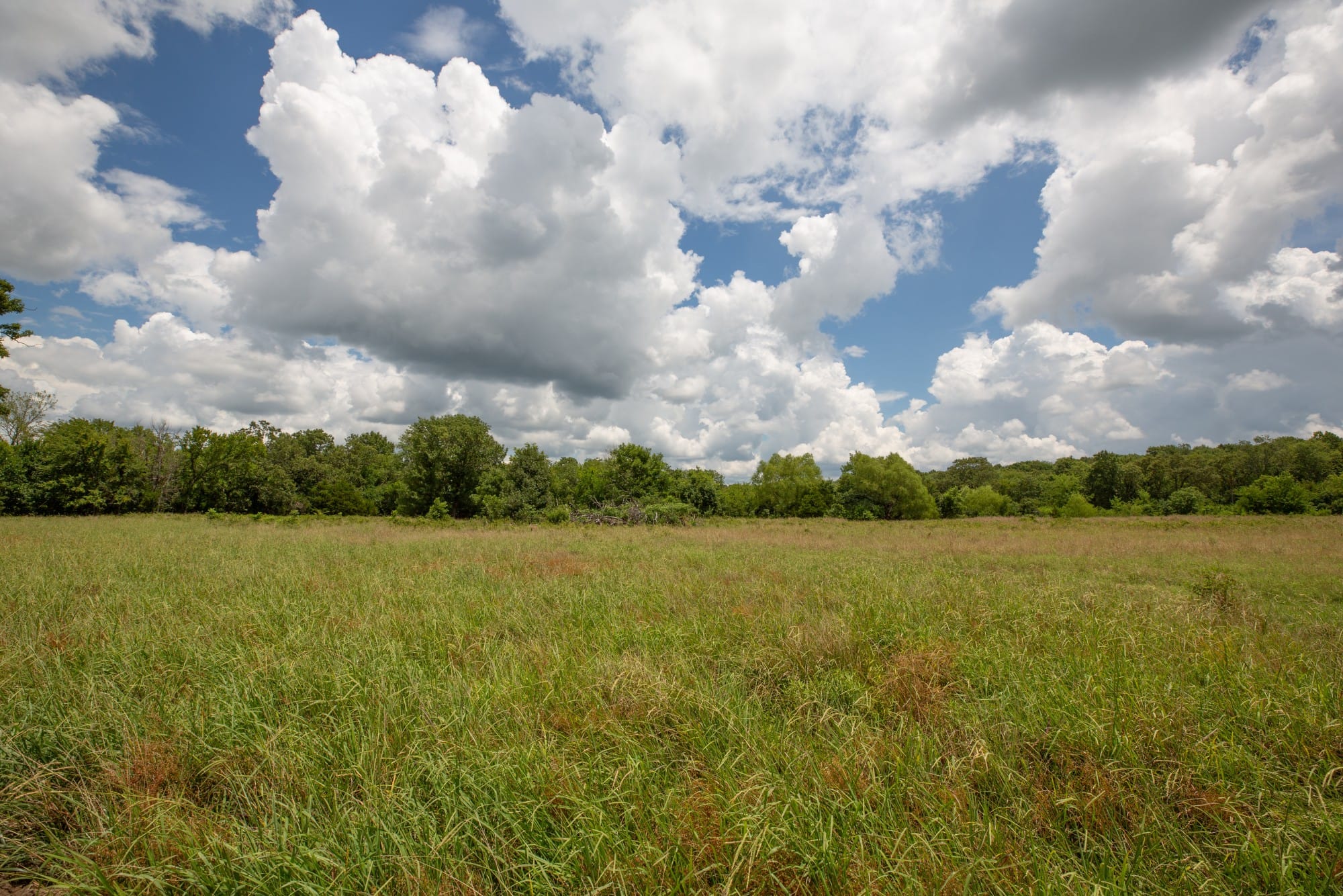Paradise Valley Tract 8 photo 2